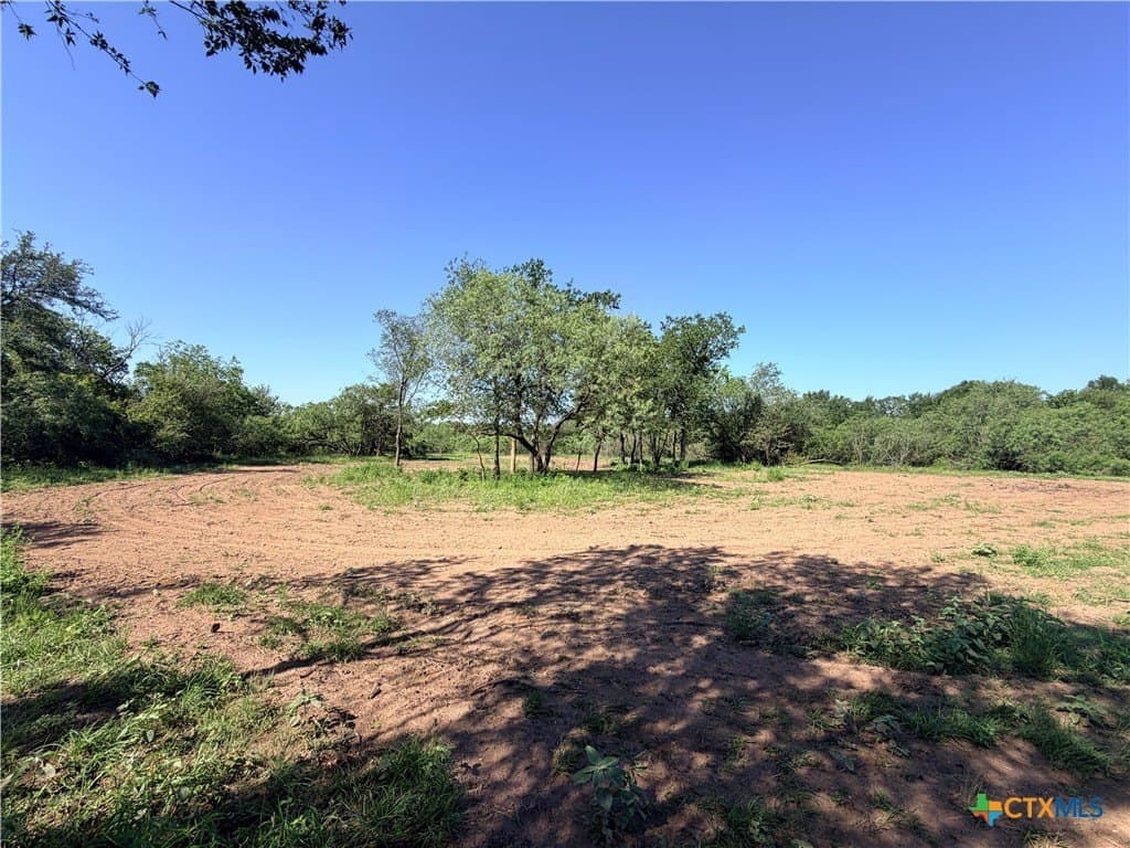 11.1 acres in Caldwell County gallery image 4