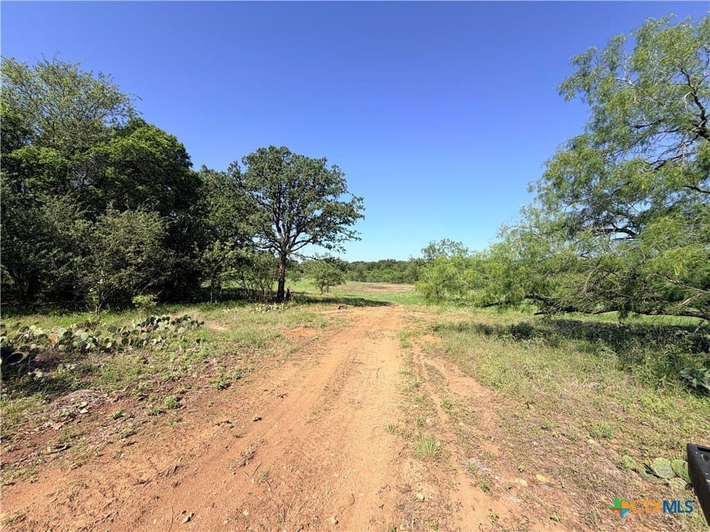 11.1 acres in Caldwell County - photo 8