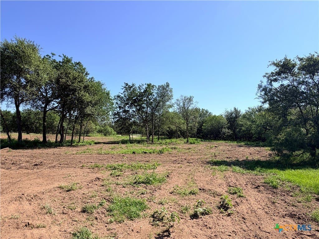 11.1 acres in Caldwell County gallery image 2