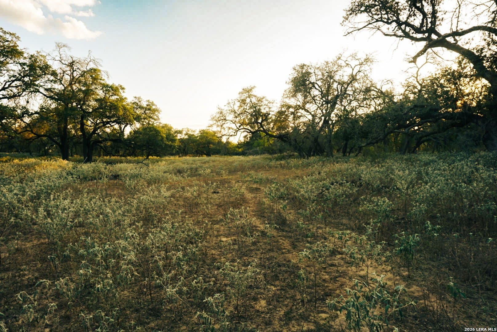 50 acres in Medina County - photo 26