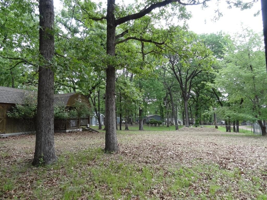 0.26 acres in Henderson County - photo 20