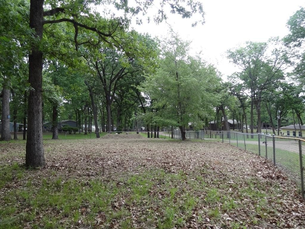 0.26 acres in Henderson County - photo 21