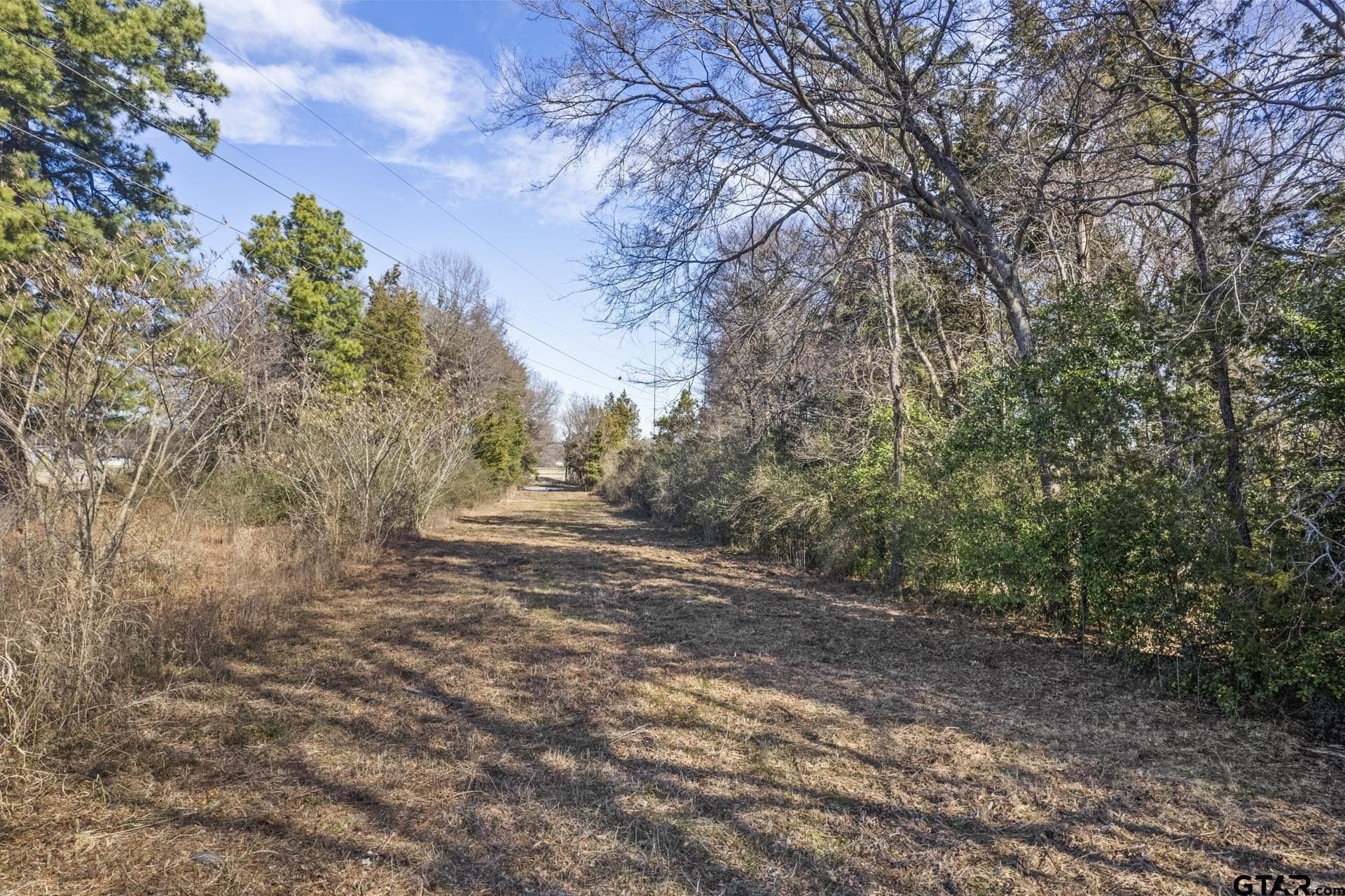 4.73 acres in Titus County featured view