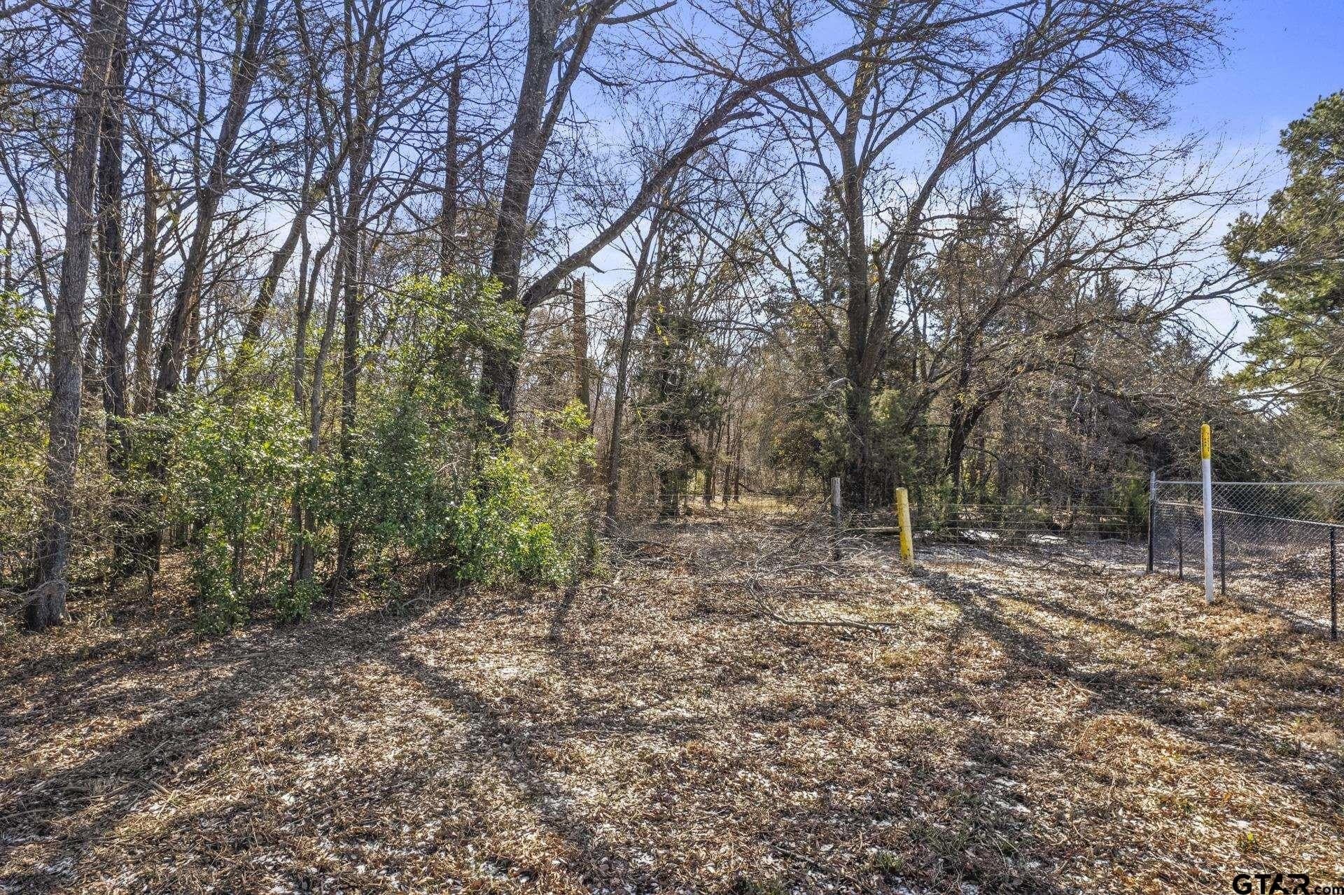 4.73 acres in Titus County gallery image 4