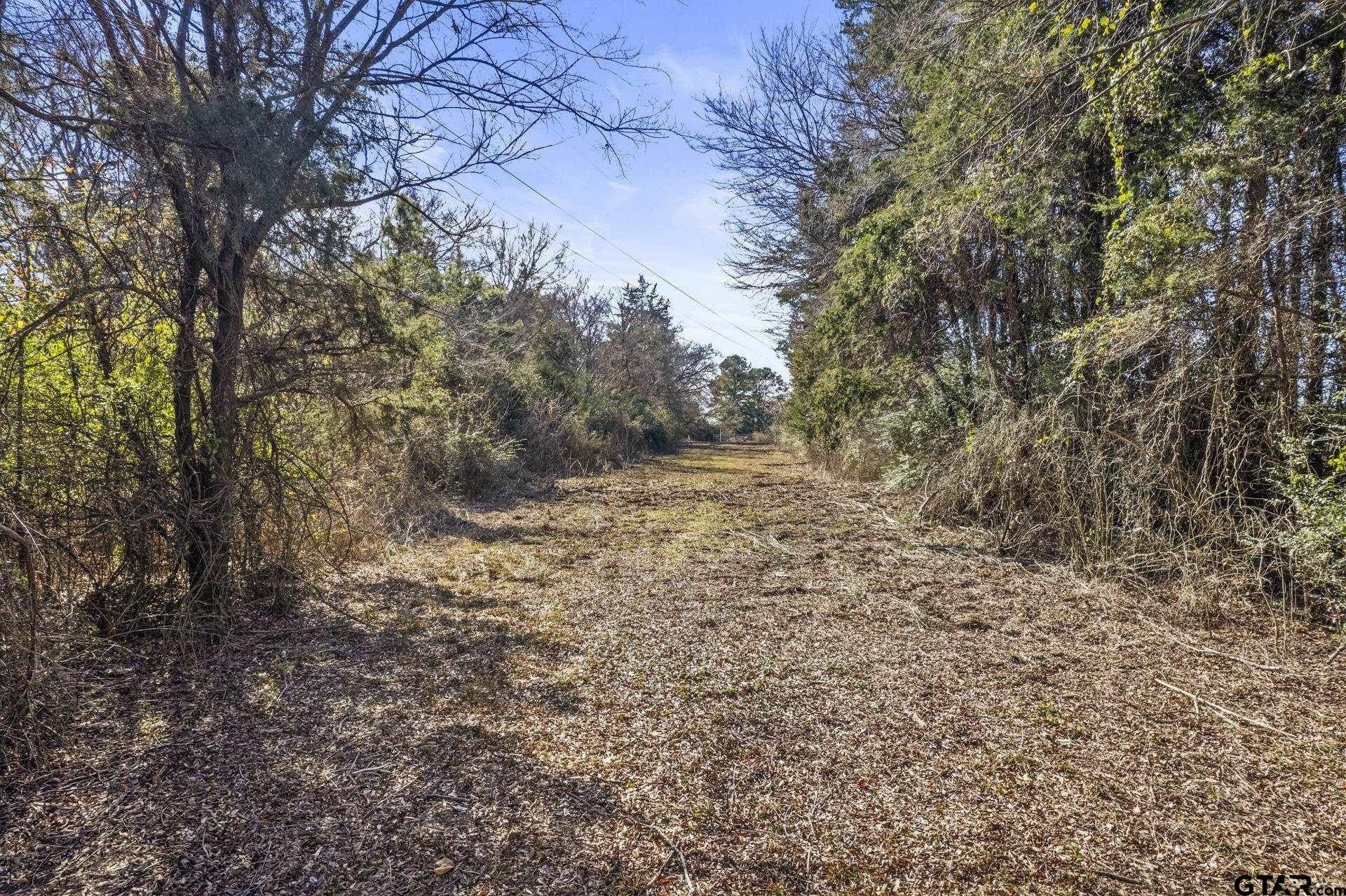 4.73 acres in Titus County gallery image 2