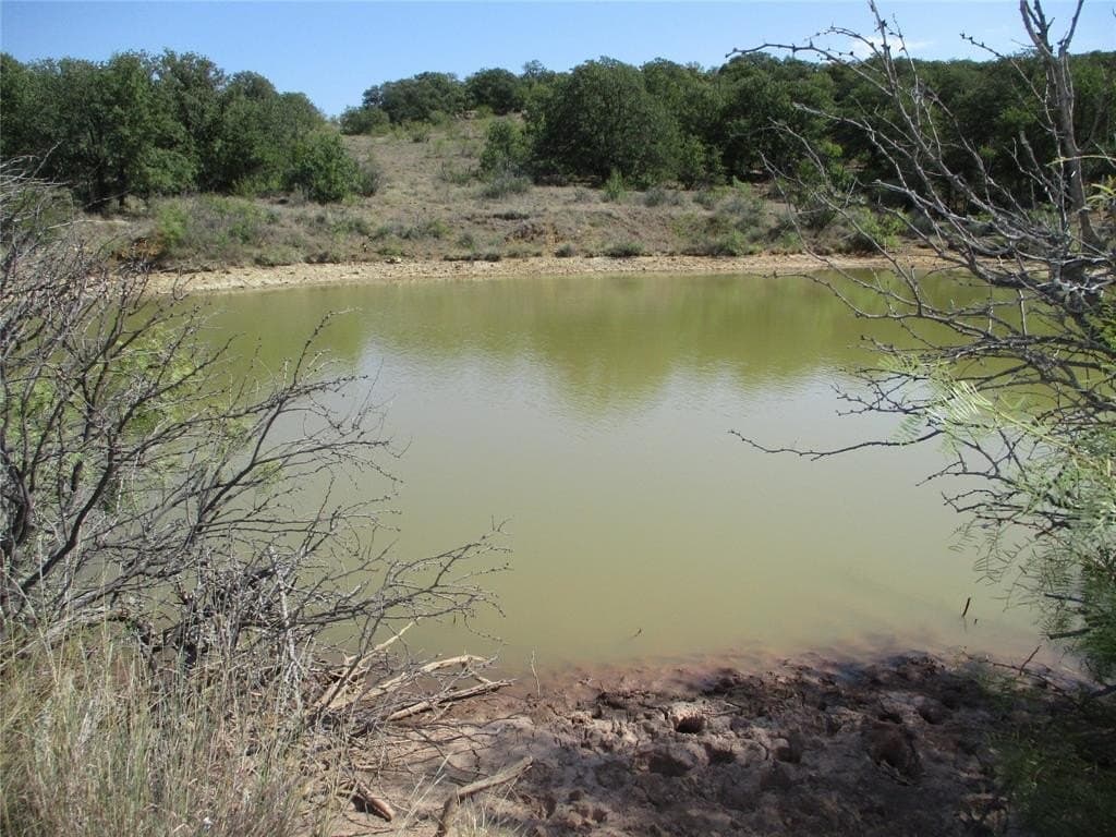 80 acres in Young County gallery image 2