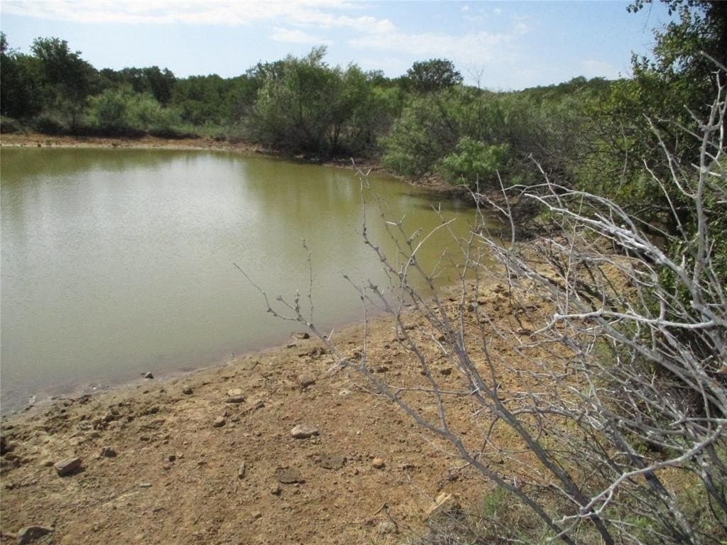 80 acres in Young County gallery image 4