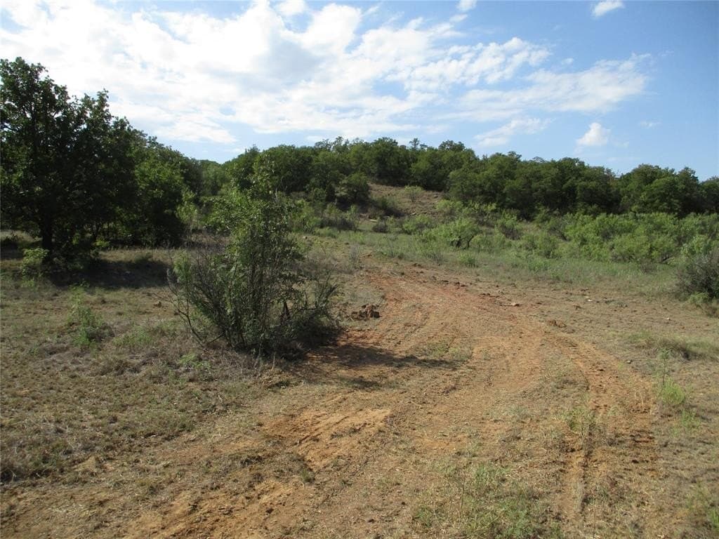 80 acres in Young County