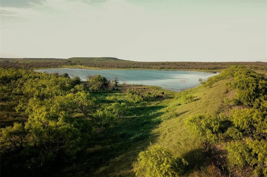 1,350 acres in Coleman County gallery image 3