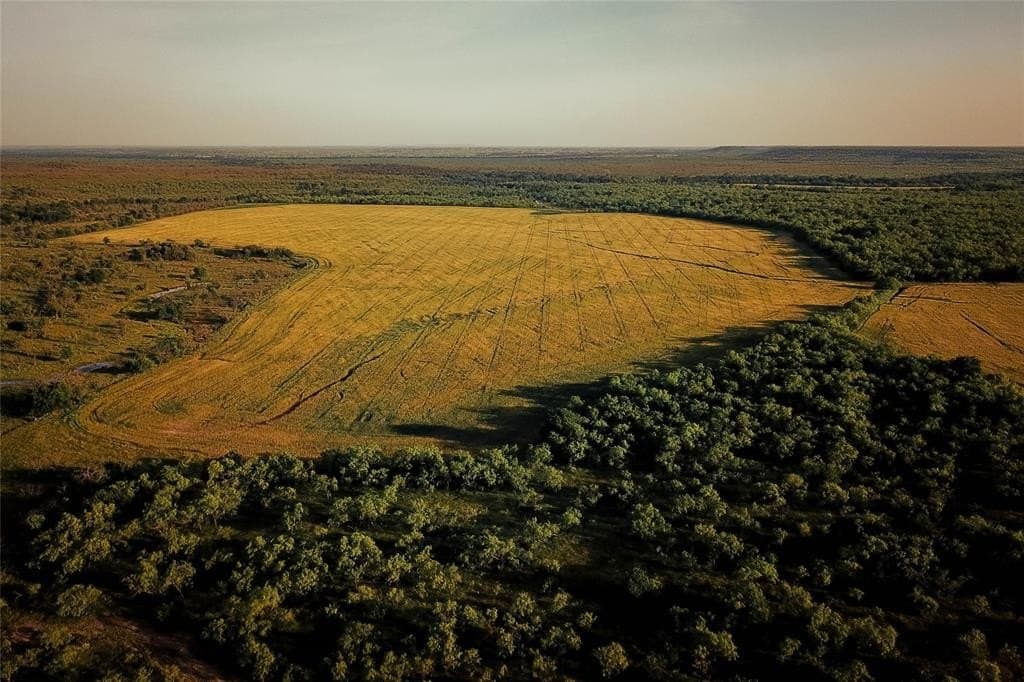 1,350 acres in Coleman County gallery image 4