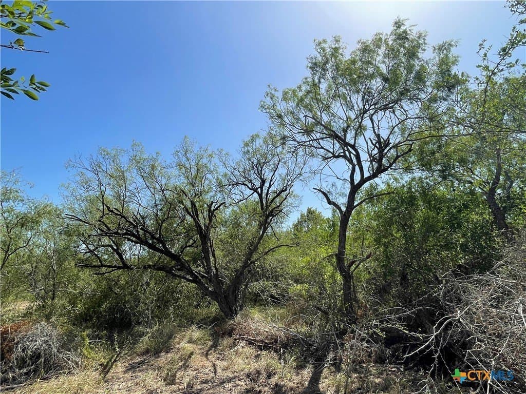 5.01 acres in Victoria County gallery image 3