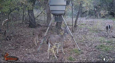 5.07 acres in Palo Pinto County - photo 19