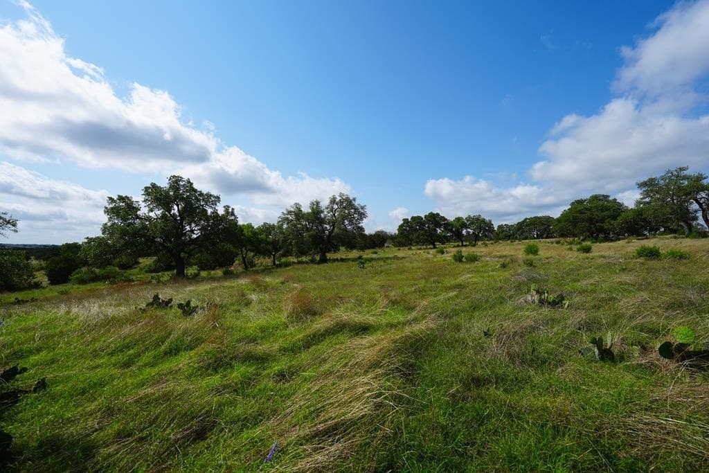 7.56 acres in Gillespie County - photo 8