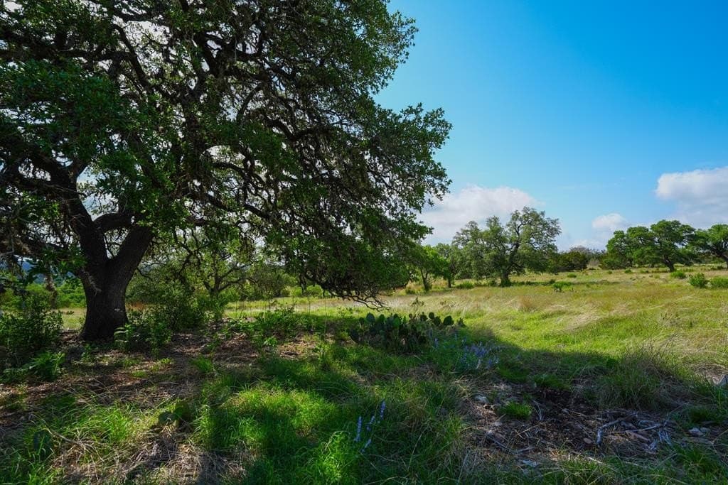 7.56 acres in Gillespie County - photo 9