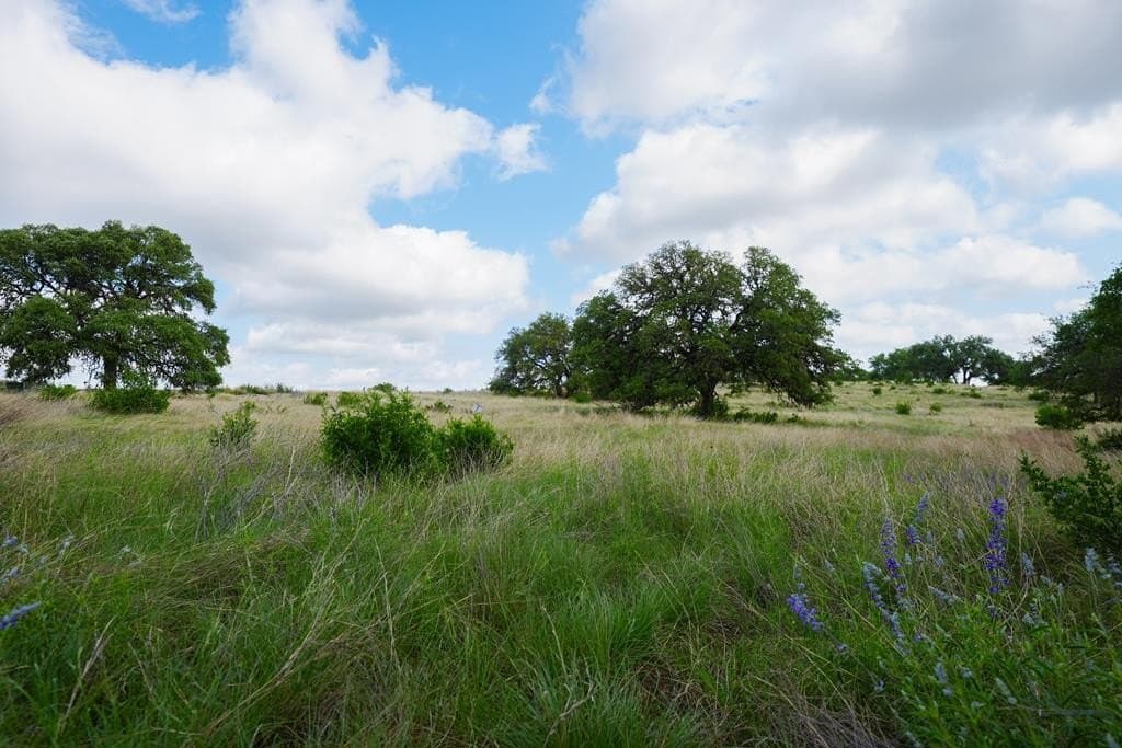 7.56 acres in Gillespie County - photo 11