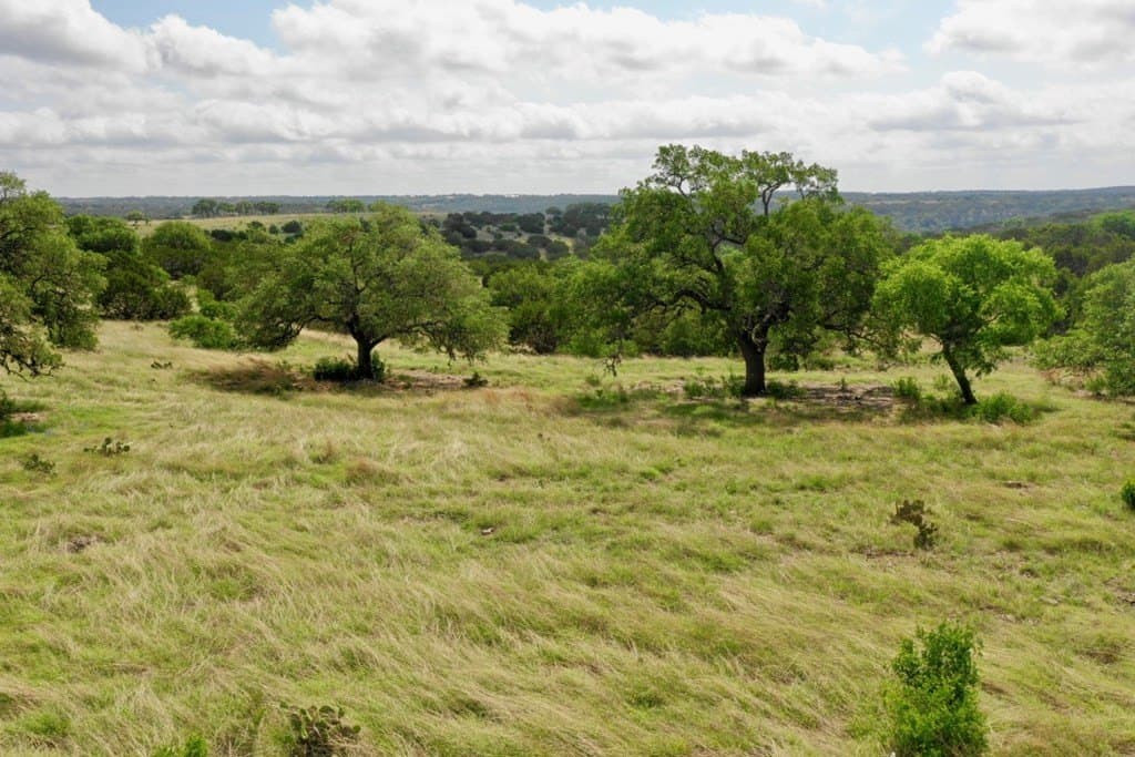 7.56 acres in Gillespie County gallery image 4