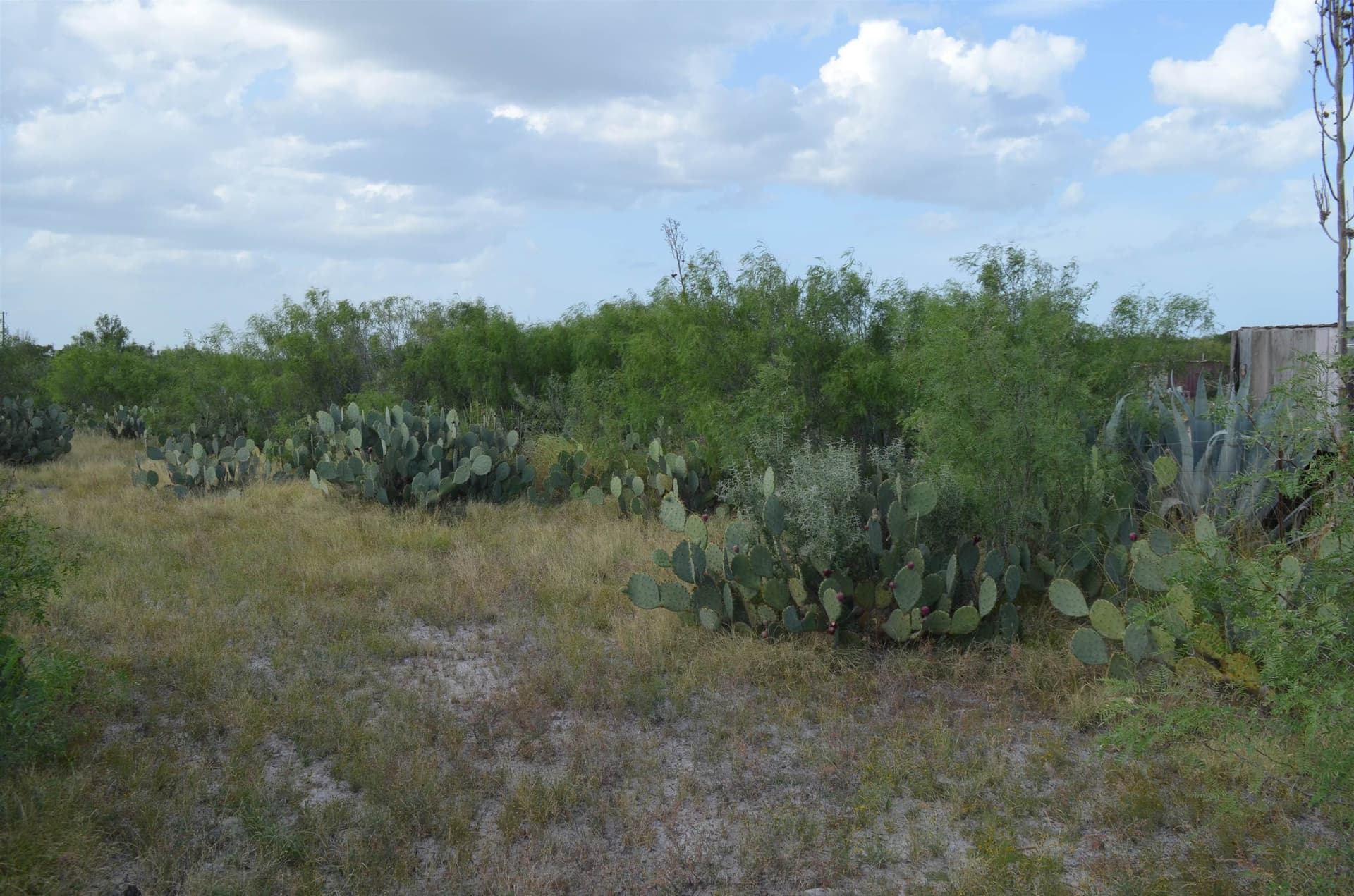 0.97 acres in USA County gallery image 2