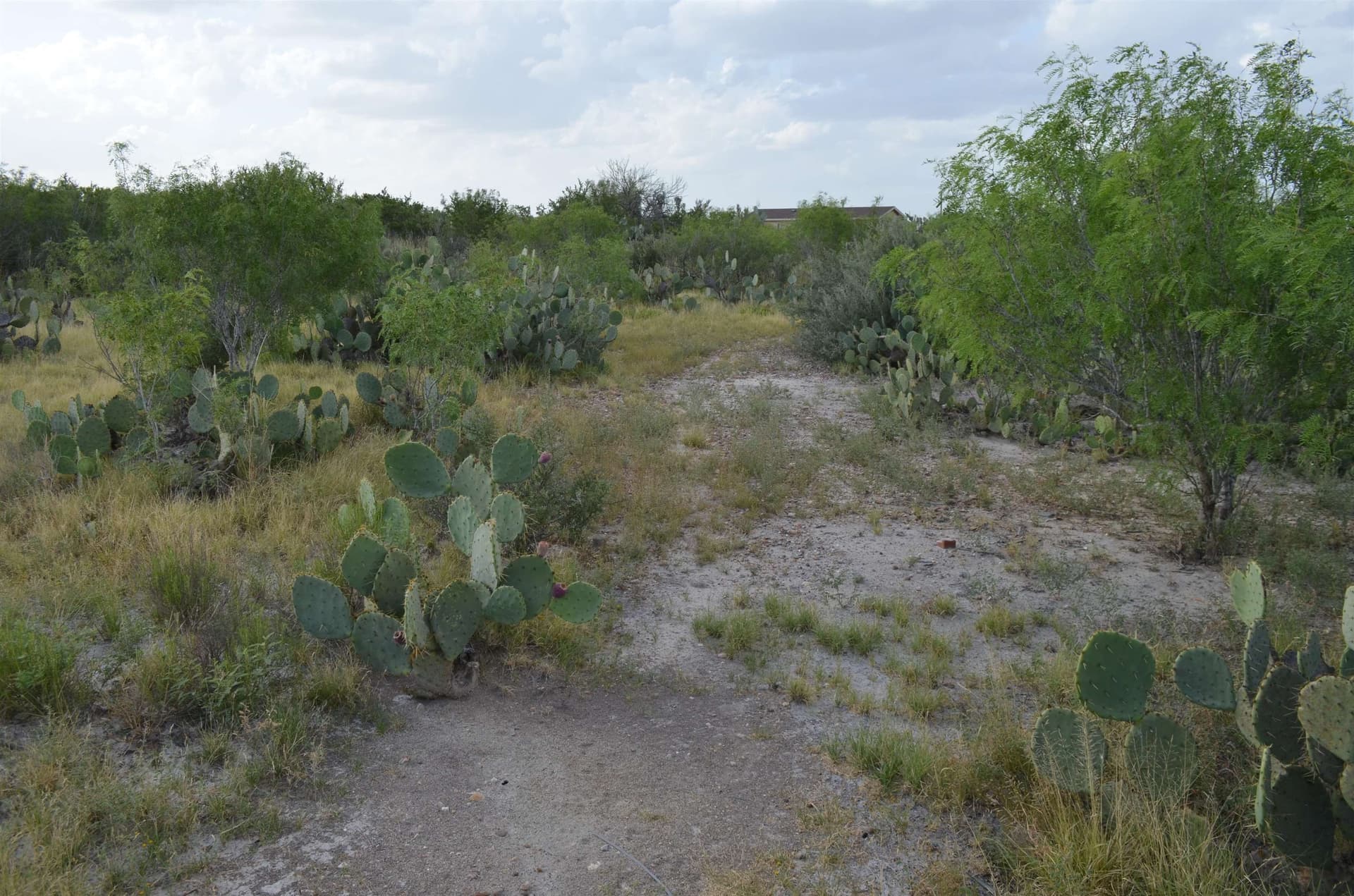 0.97 acres in USA County featured view