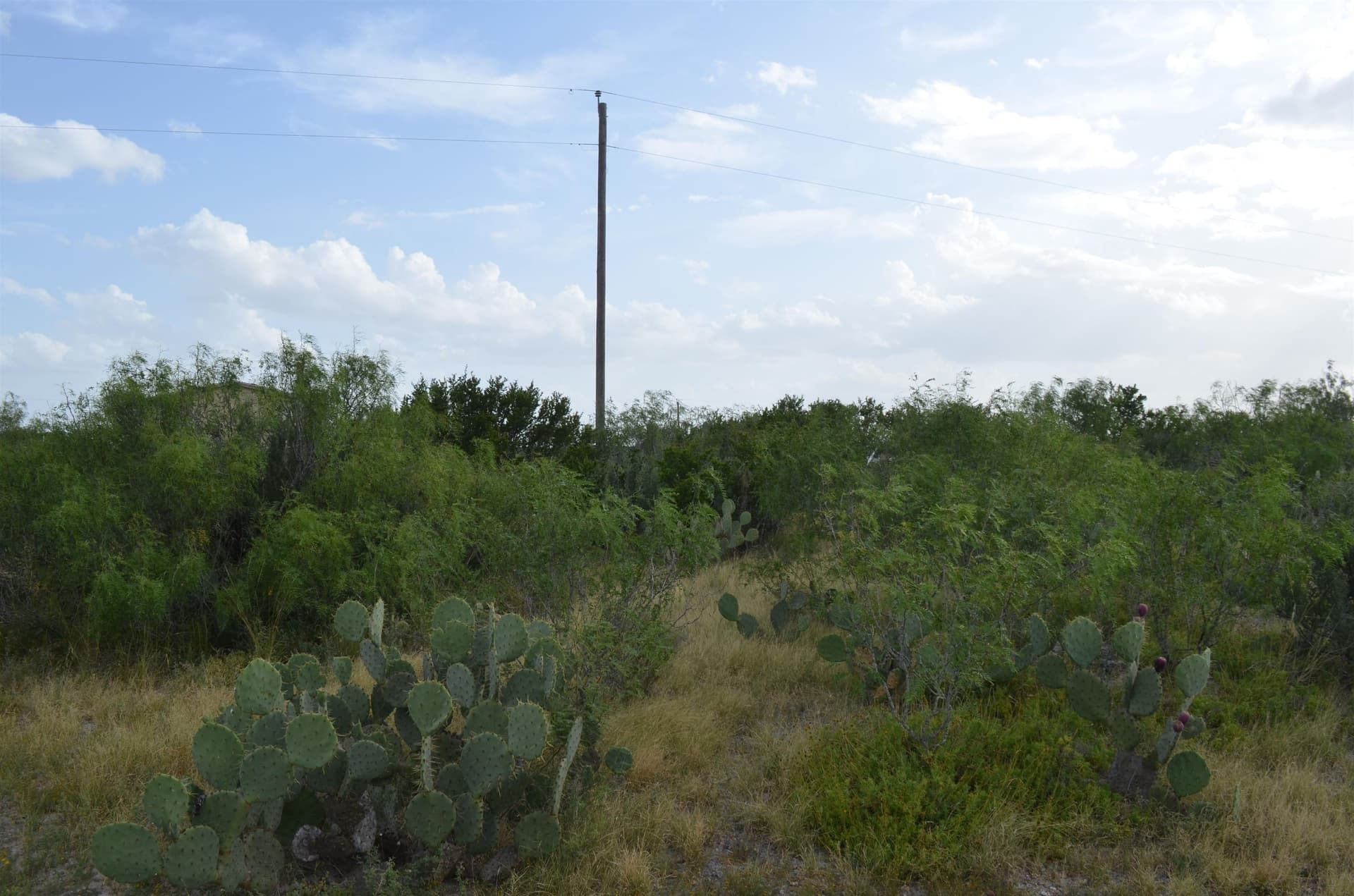 0.97 acres in USA County gallery image 4