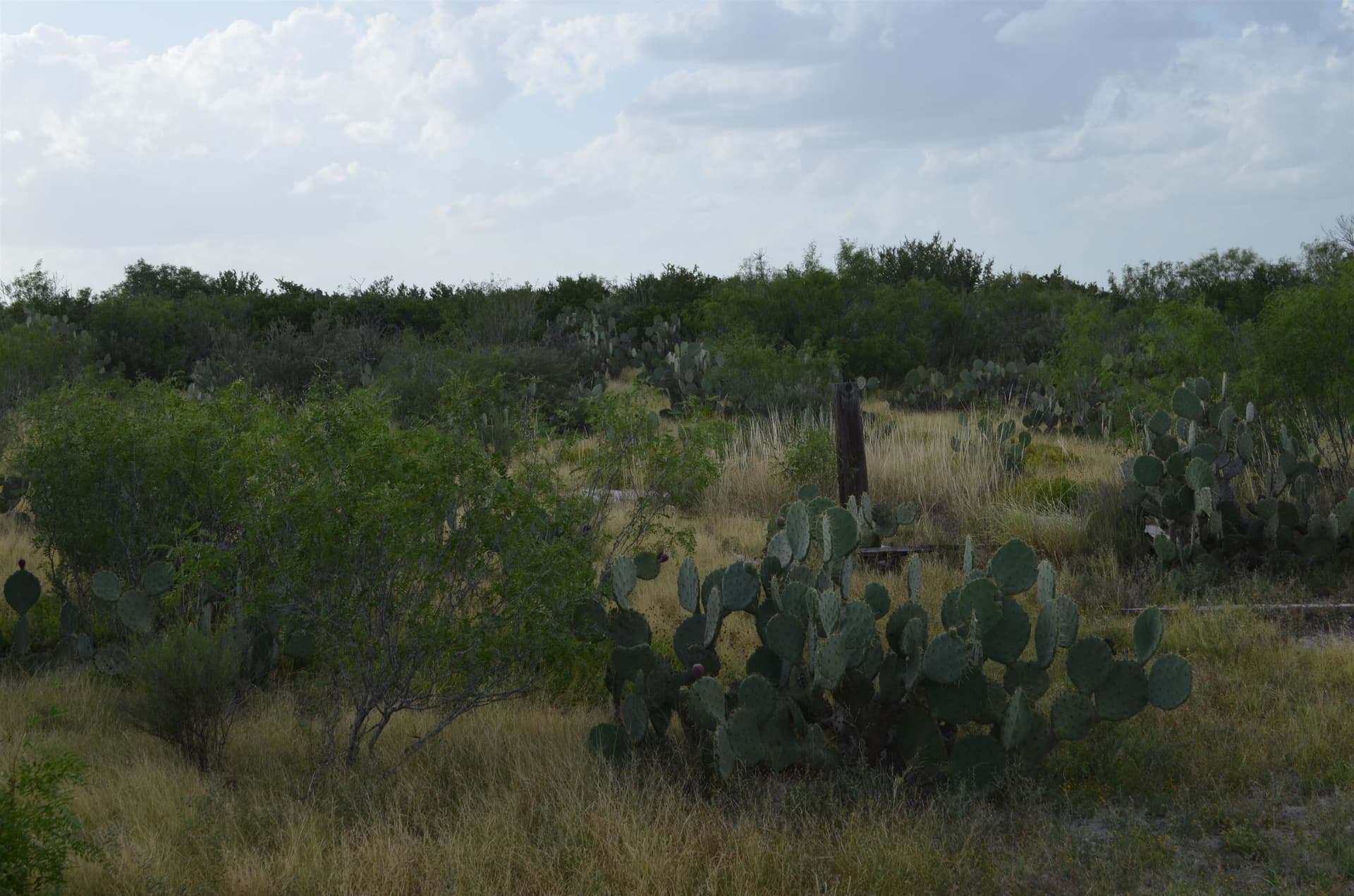 0.97 acres in USA County gallery image 3