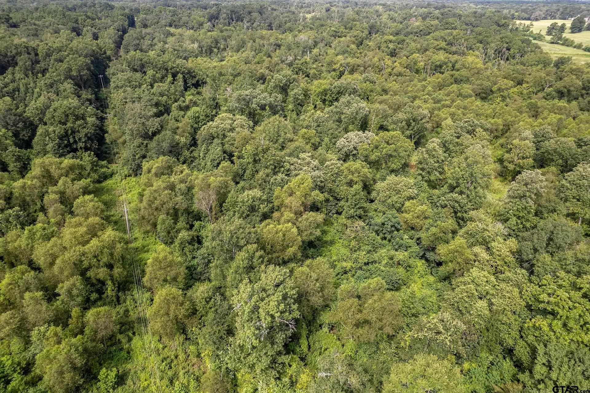 119.79 acres in Smith County - photo 25