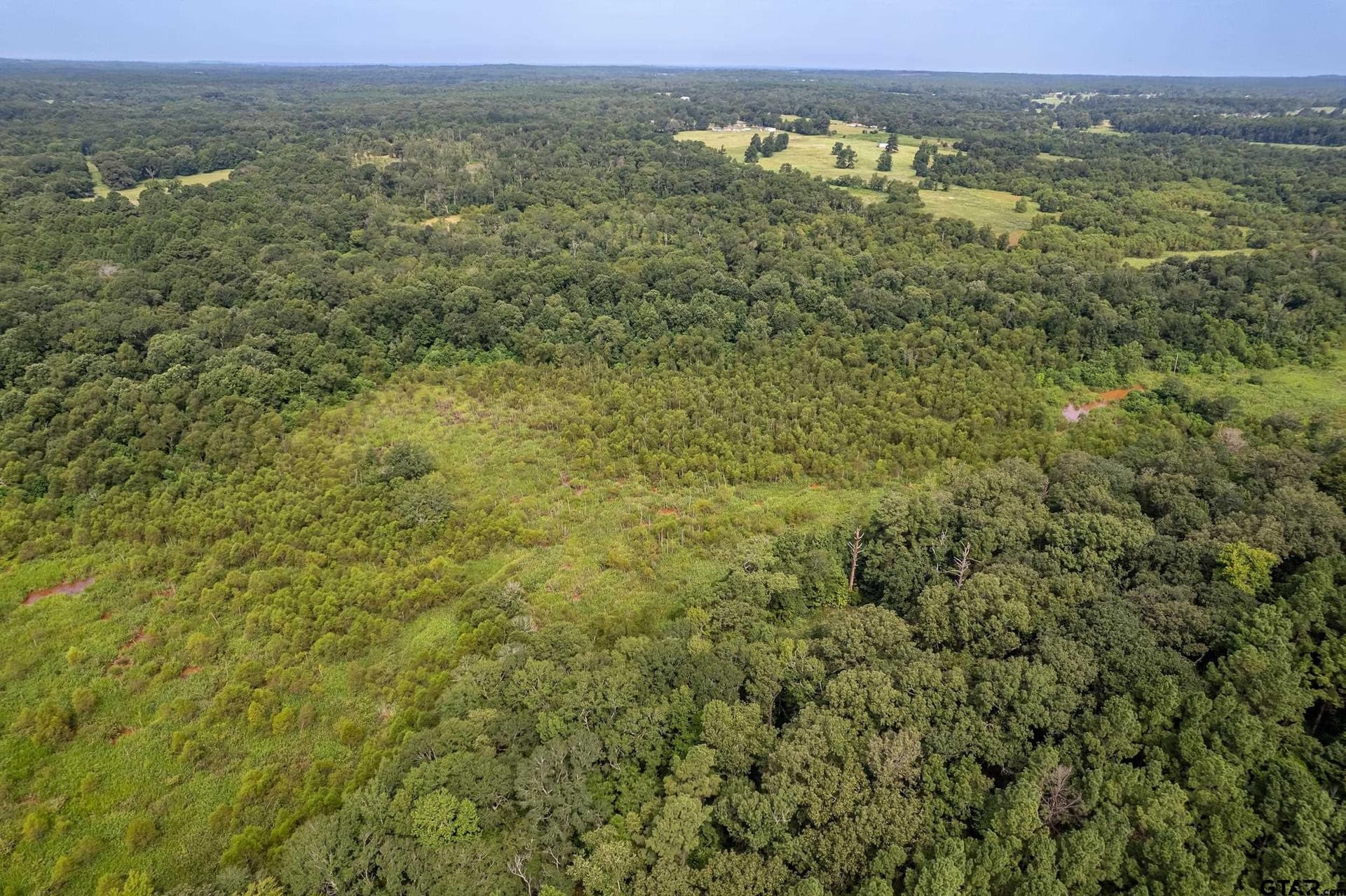 119.79 acres in Smith County - photo 19