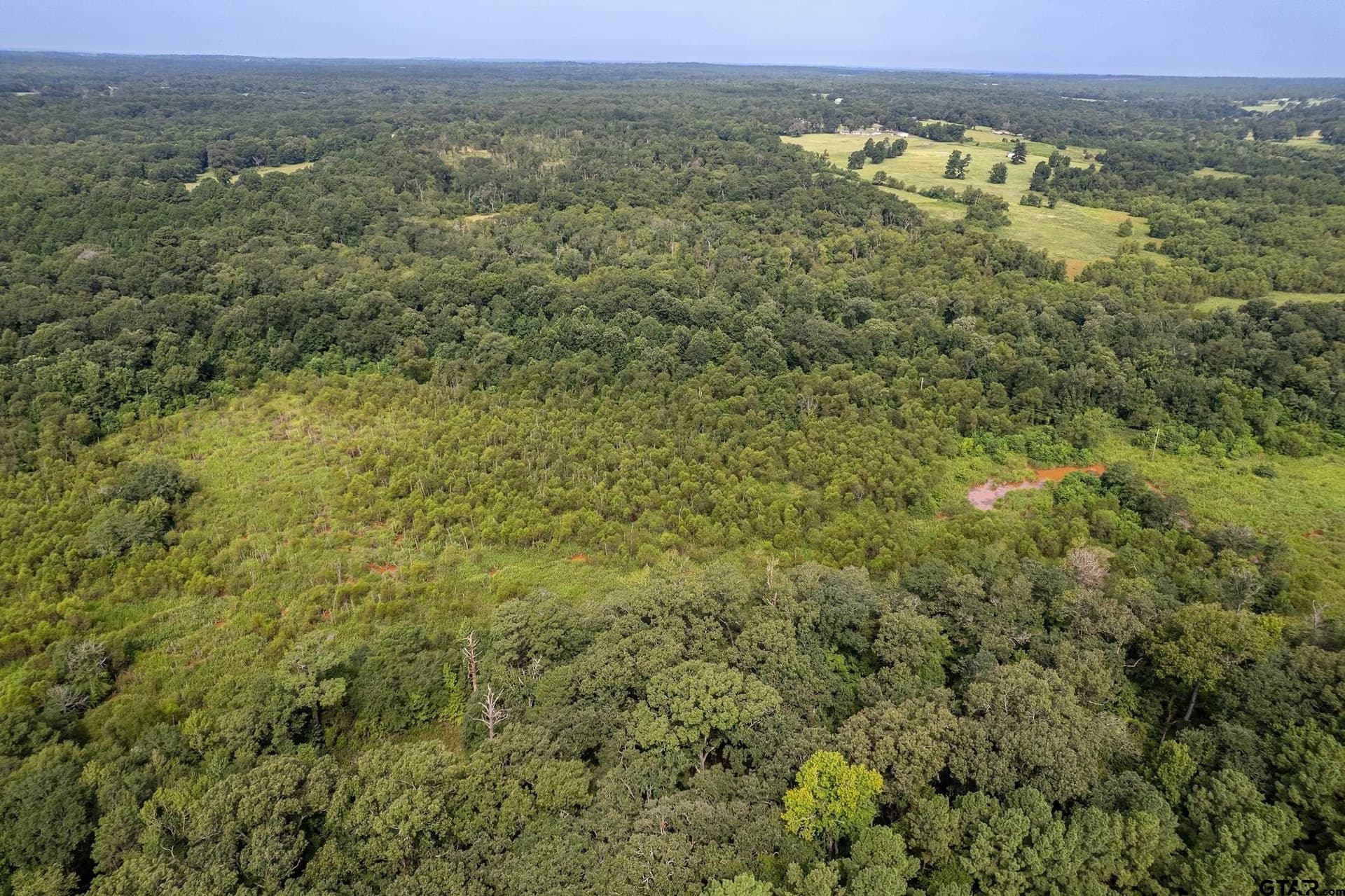 119.79 acres in Smith County - photo 20