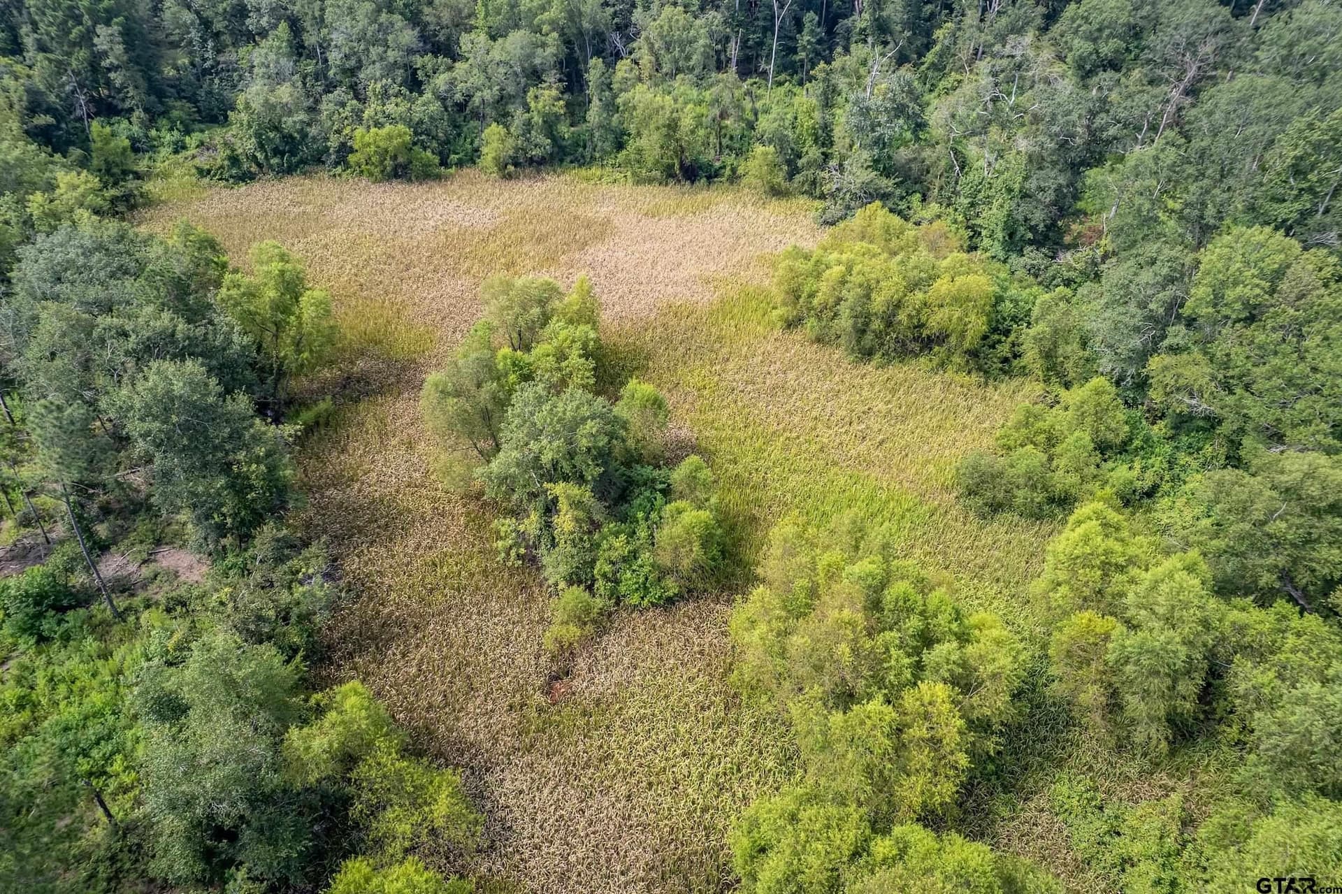 119.79 acres in Smith County - photo 34