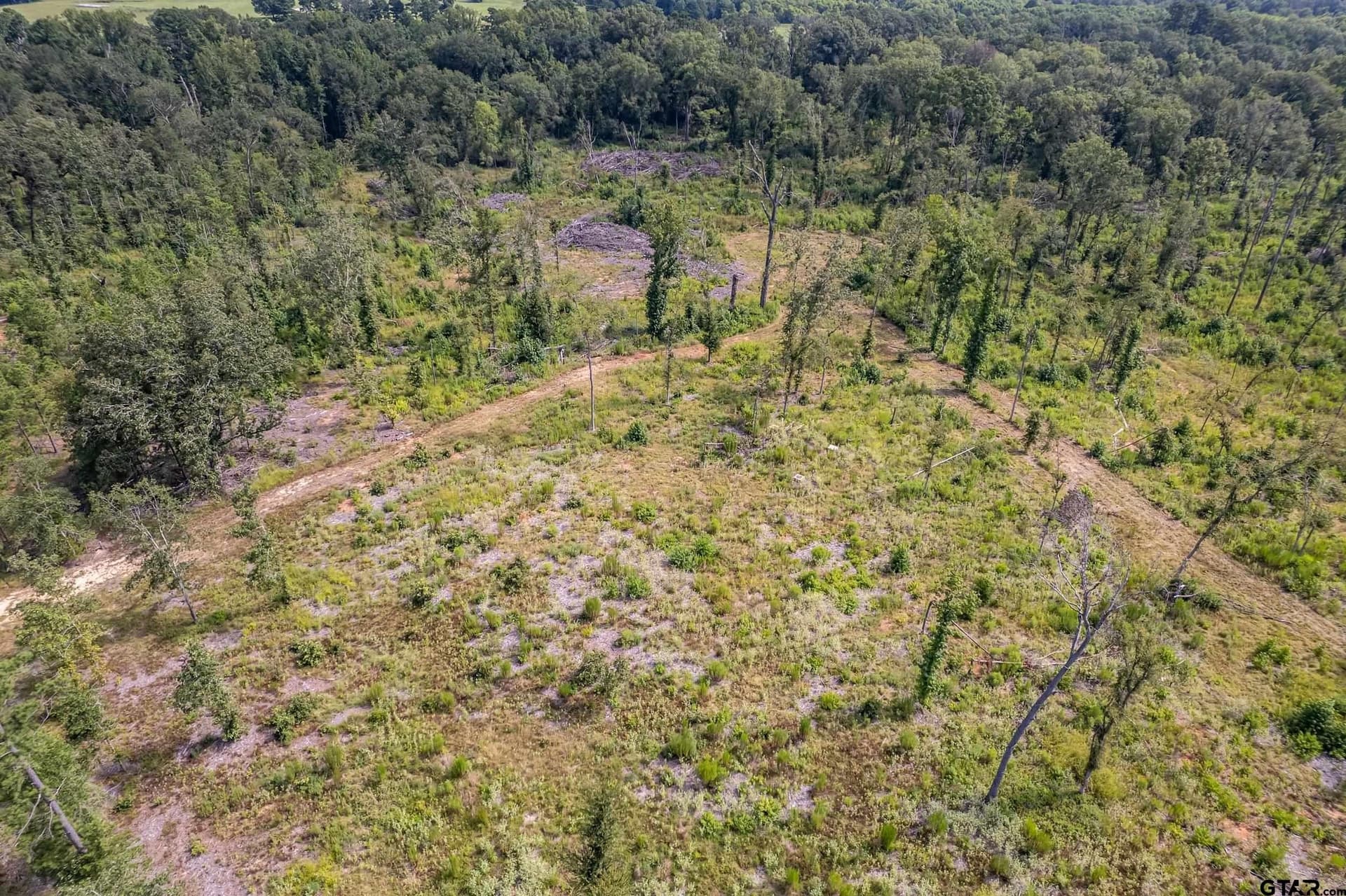 119.79 acres in Smith County - photo 15