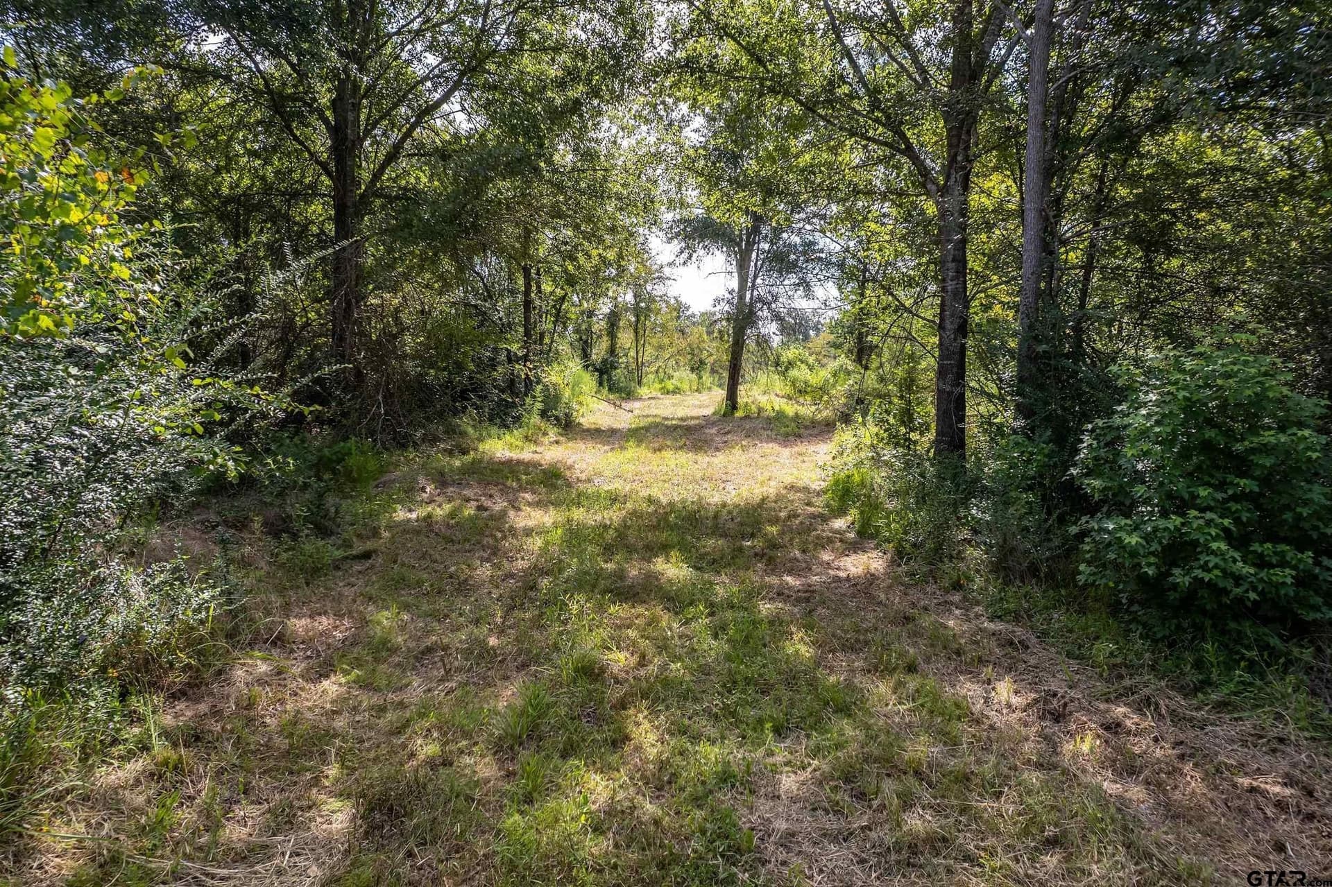 119.79 acres in Smith County - photo 6