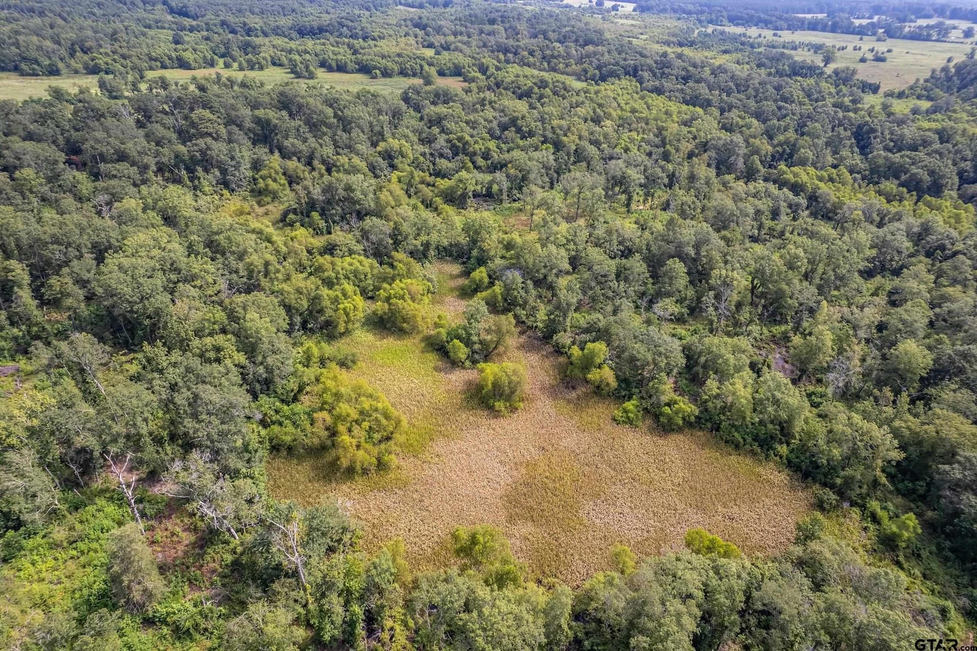 119.79 acres in Smith County - photo 17
