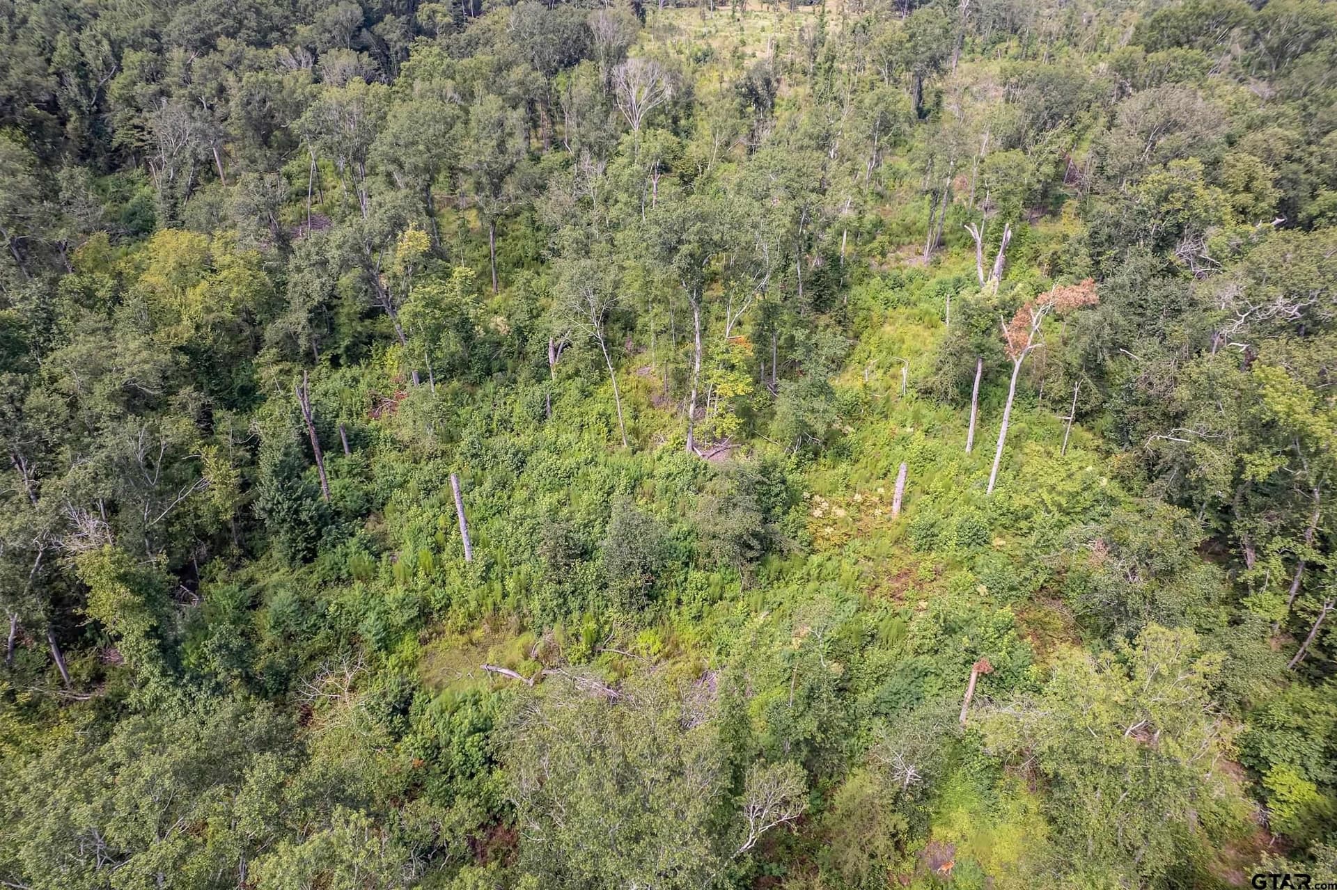 119.79 acres in Smith County - photo 35