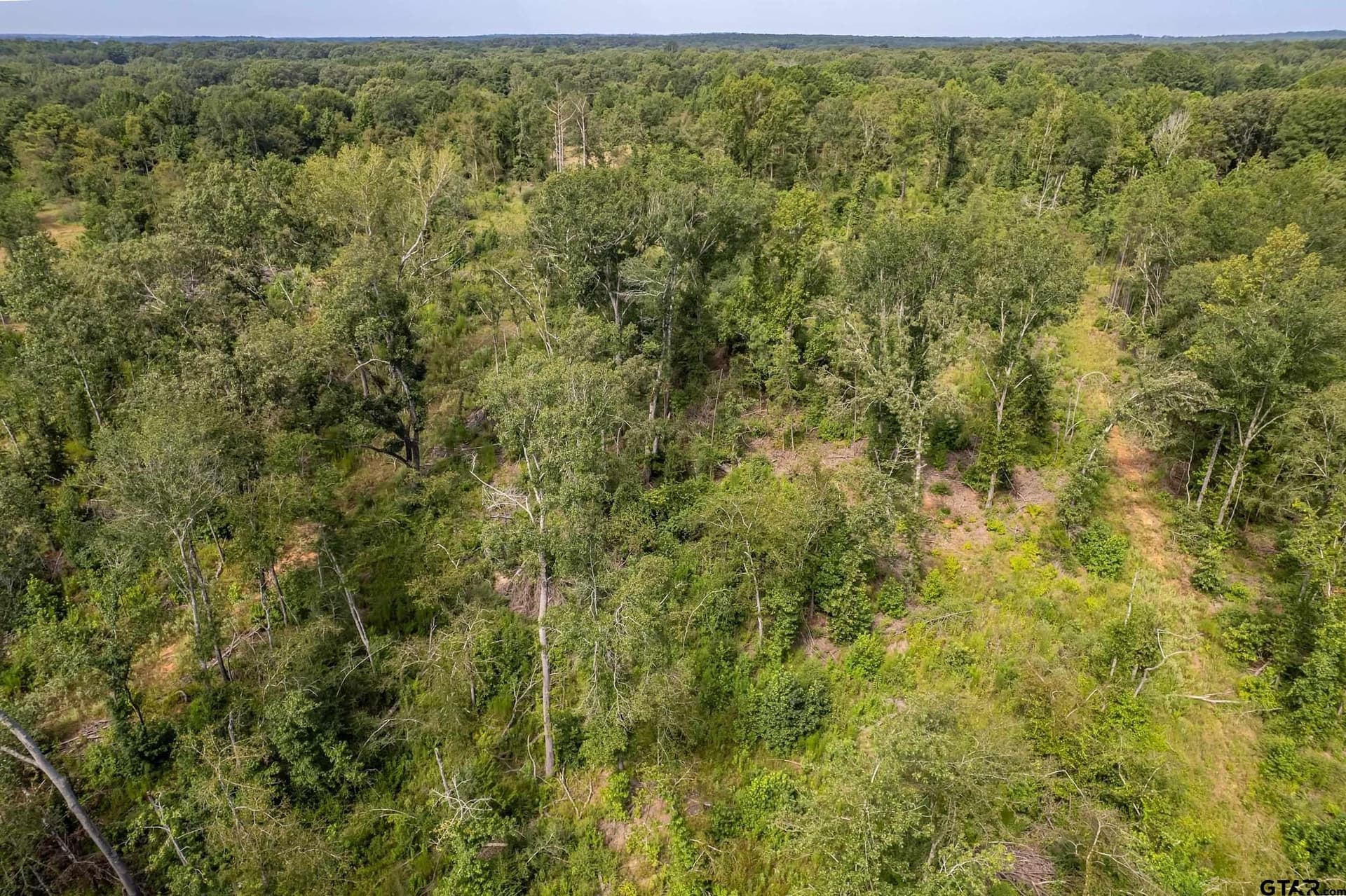 119.79 acres in Smith County - photo 37