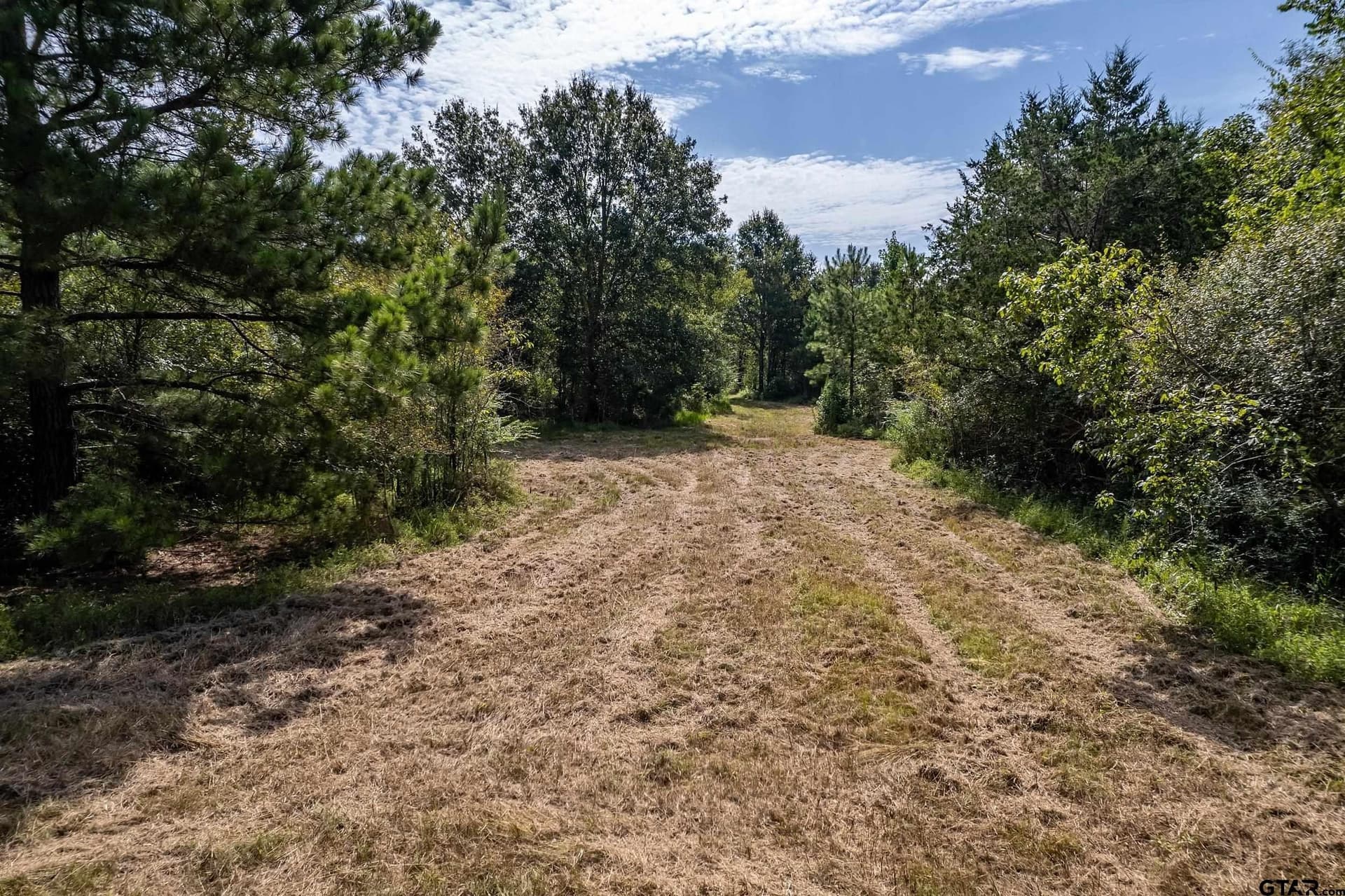 119.79 acres in Smith County - photo 3