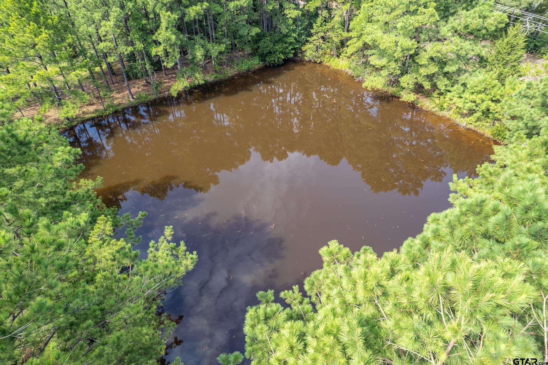 119.79 acres in Smith County - photo 8