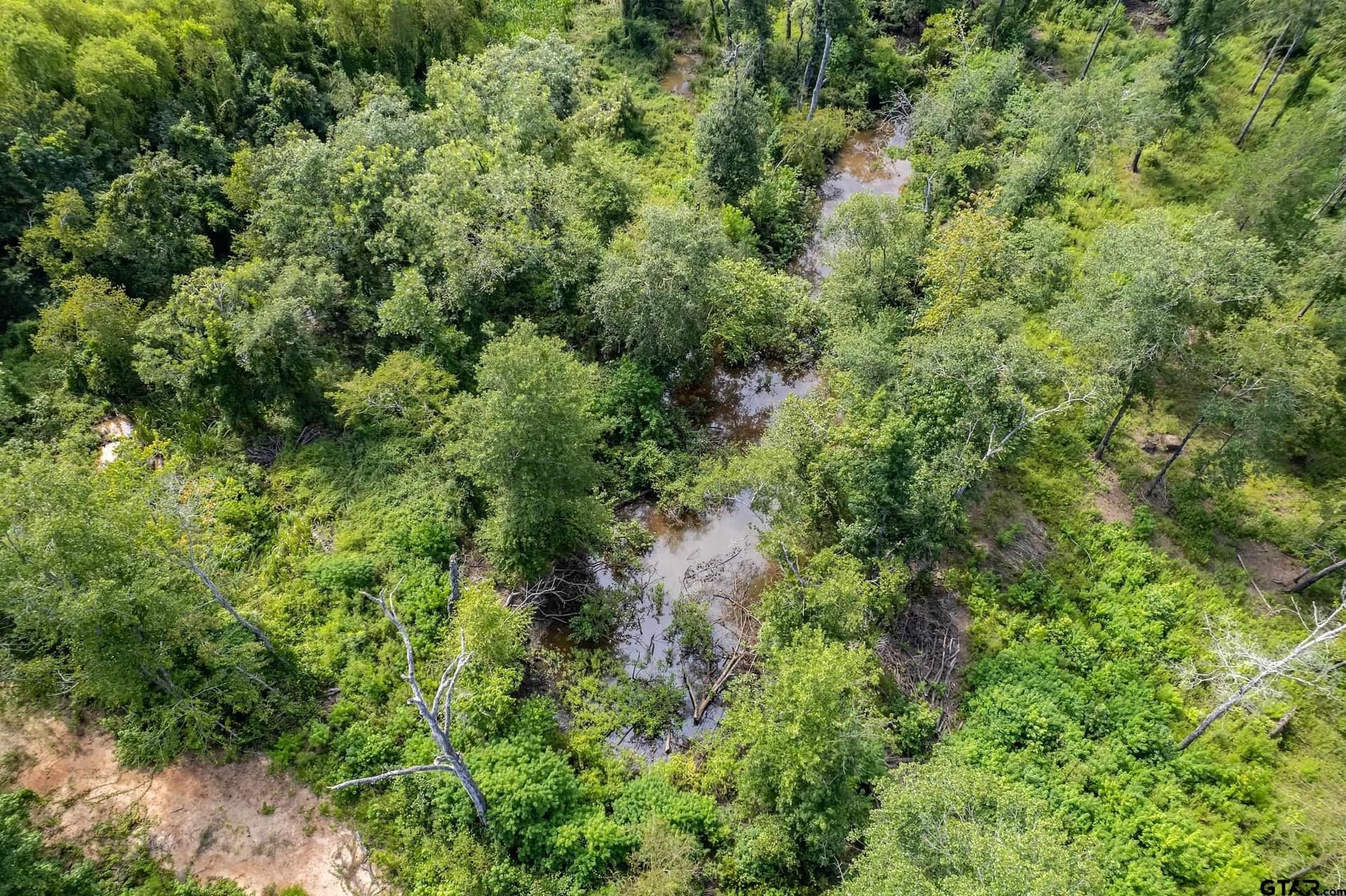 119.79 acres in Smith County - photo 32