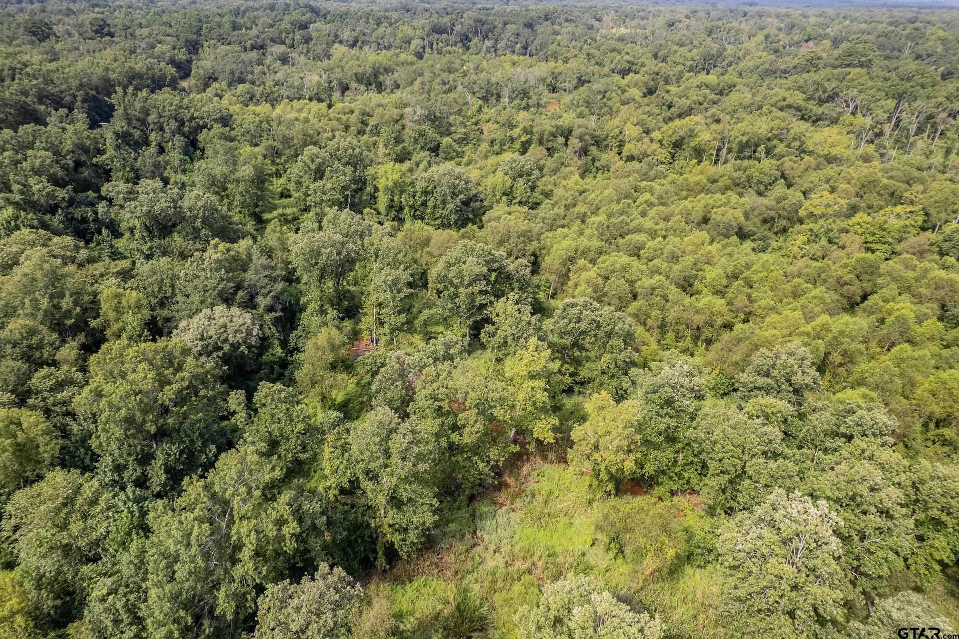 119.79 acres in Smith County - photo 26