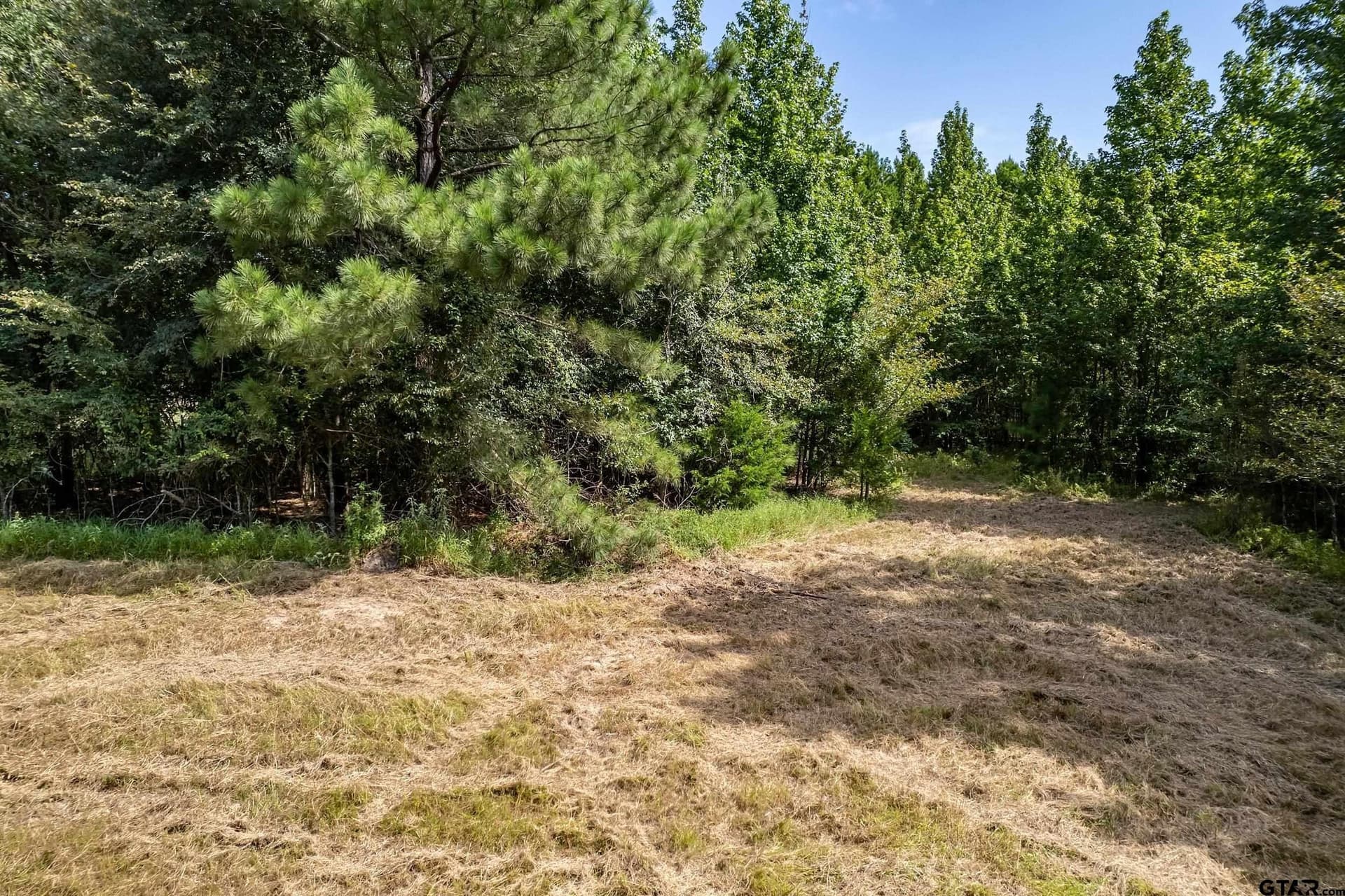 119.79 acres in Smith County - photo 4