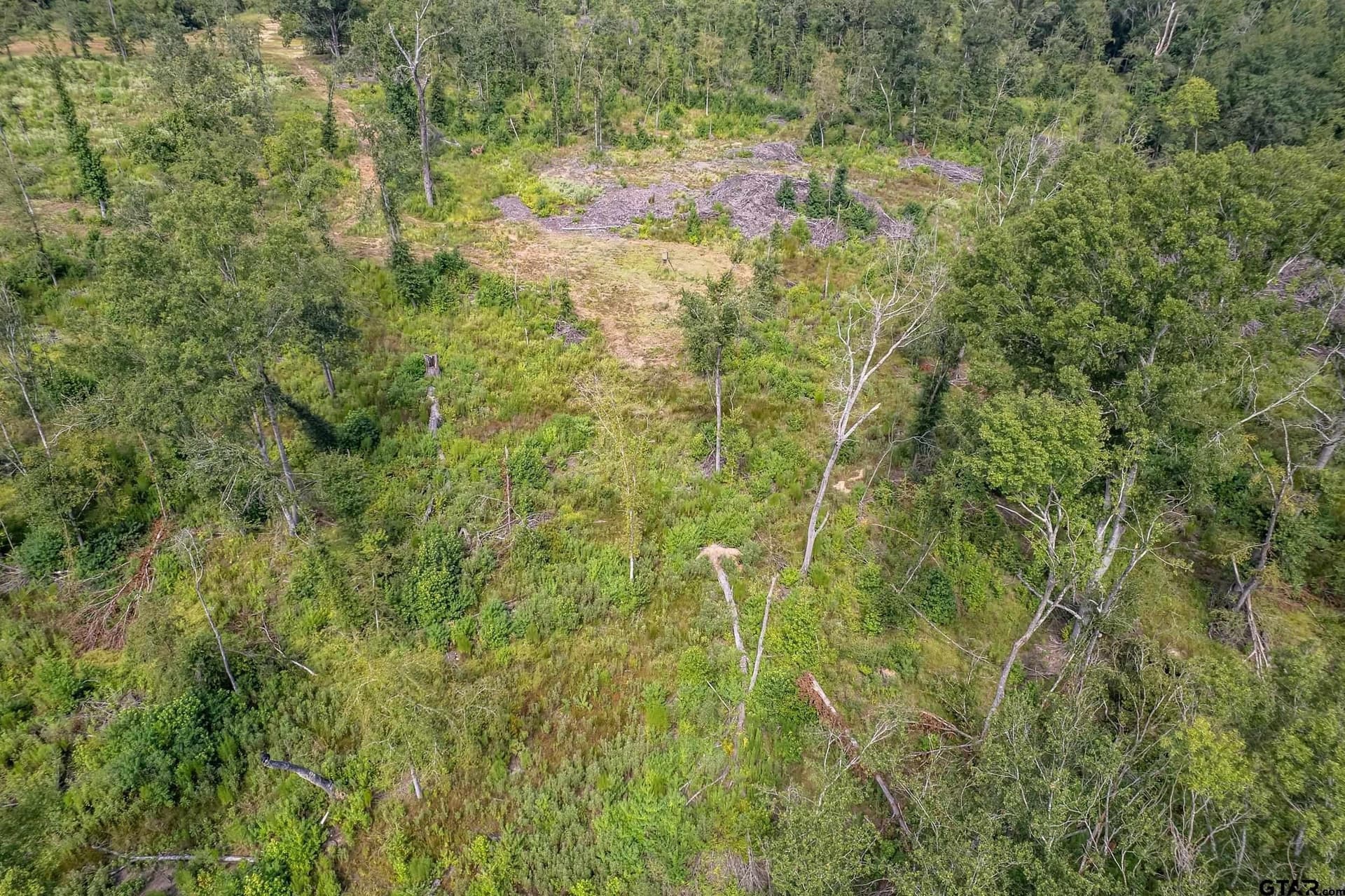 119.79 acres in Smith County - photo 36