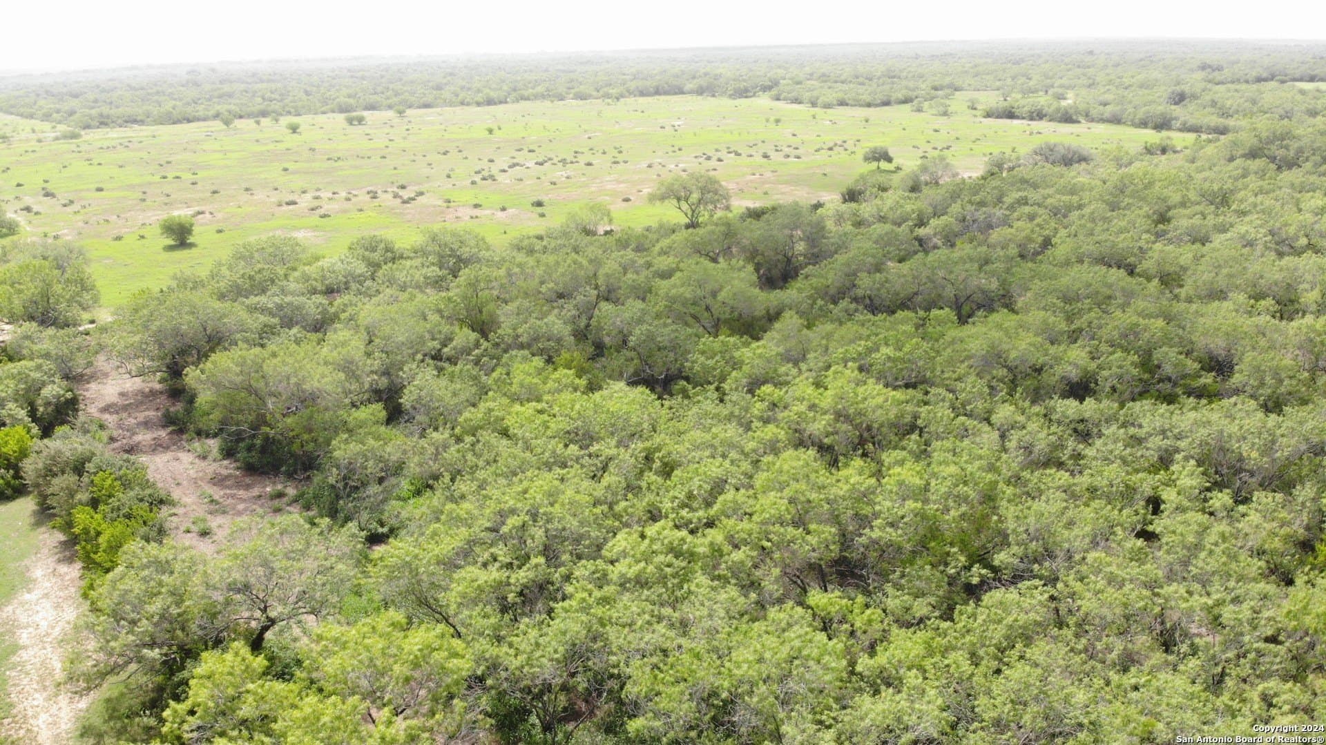 0.65 acres in Atascosa County gallery image 4