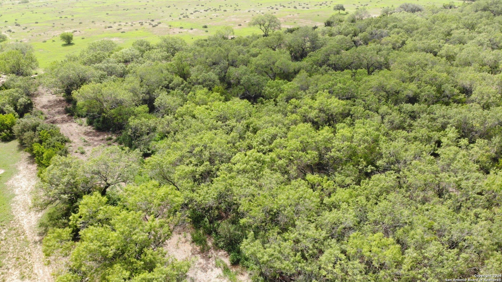 0.65 acres in Atascosa County gallery image 3