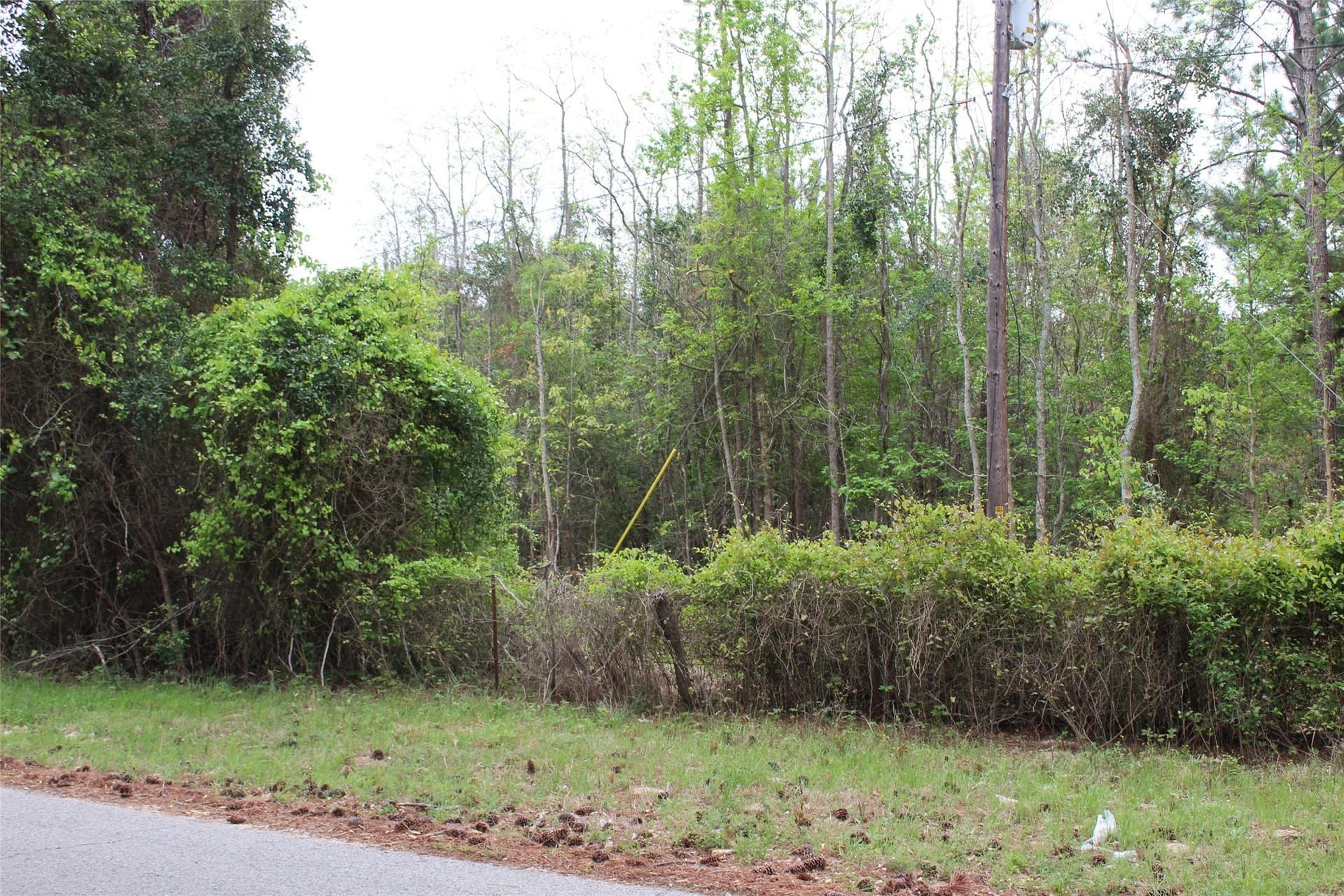 29.66 acres in Henderson County - photo 7