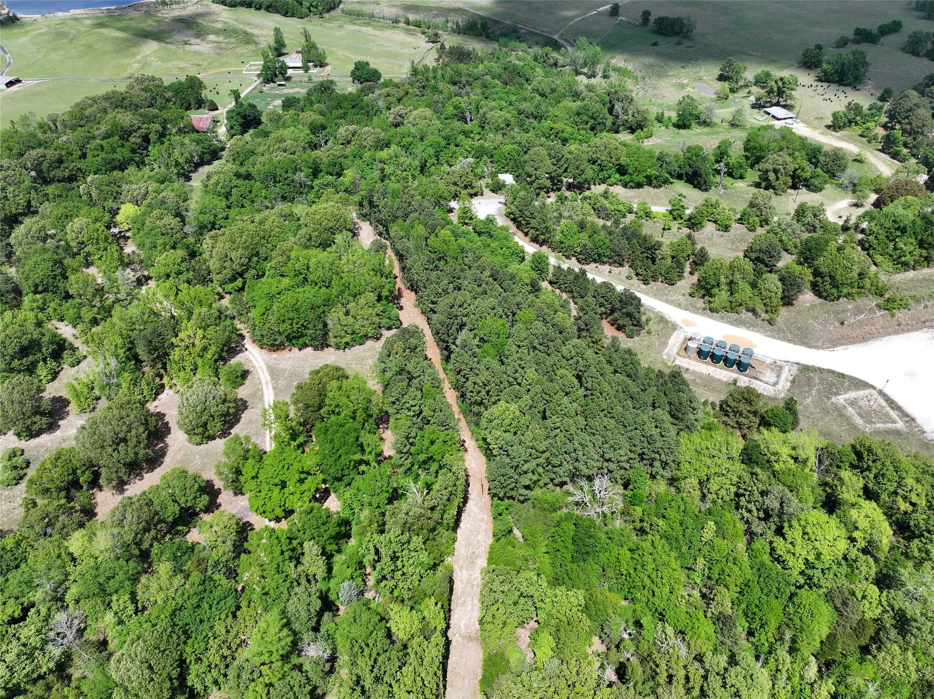 29.66 acres in Henderson County - photo 16