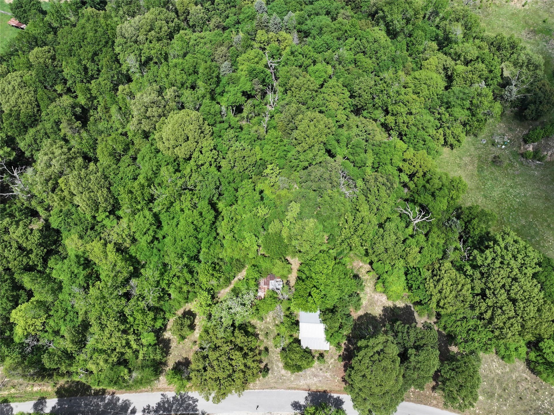 29.66 acres in Henderson County - photo 10