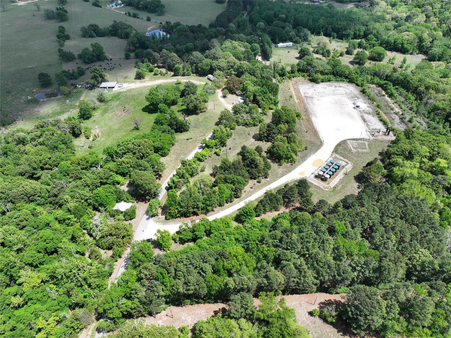 29.66 acres in Henderson County - photo 14