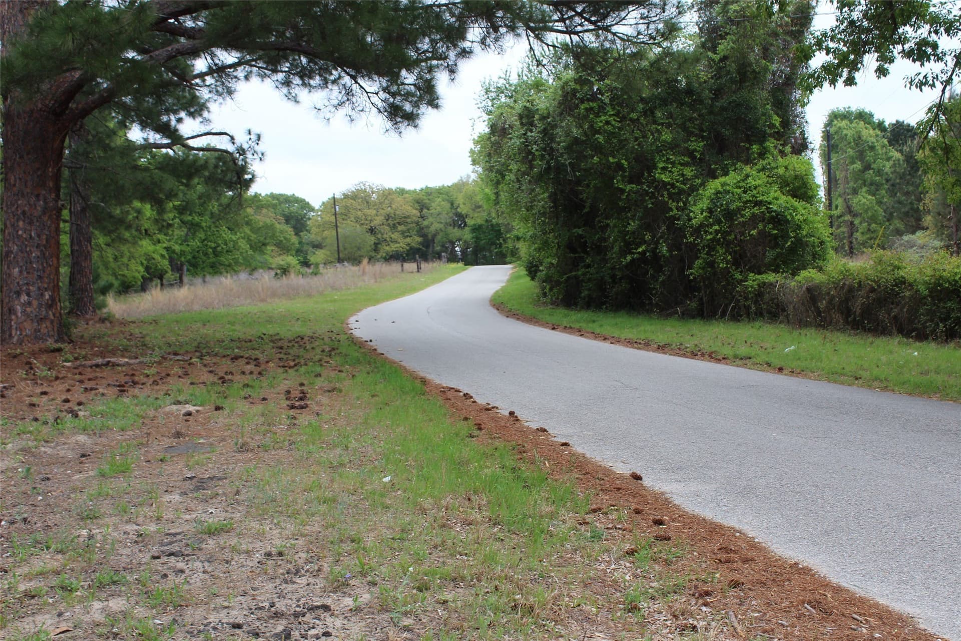 29.66 acres in Henderson County - photo 31