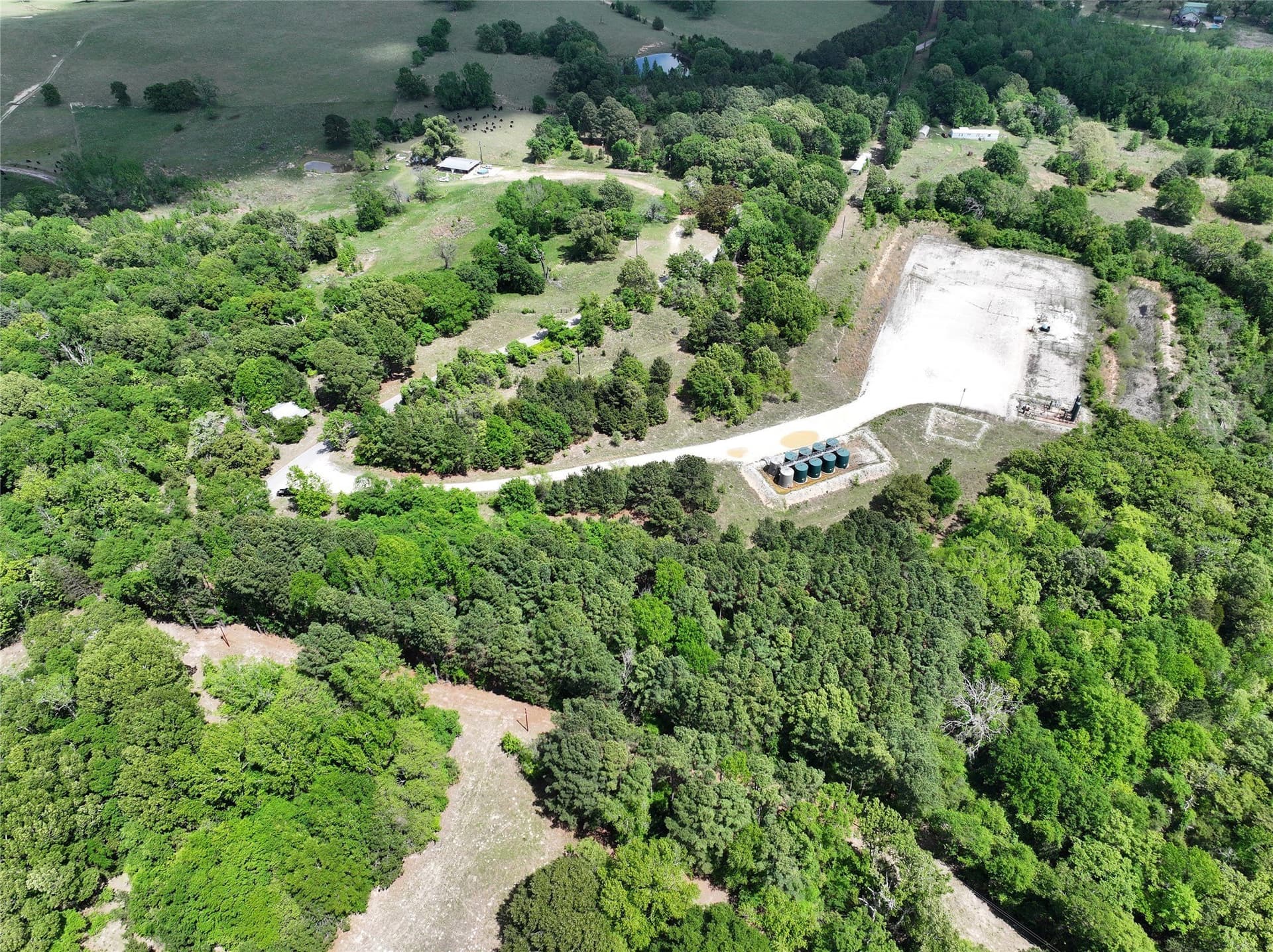 29.66 acres in Henderson County - photo 15