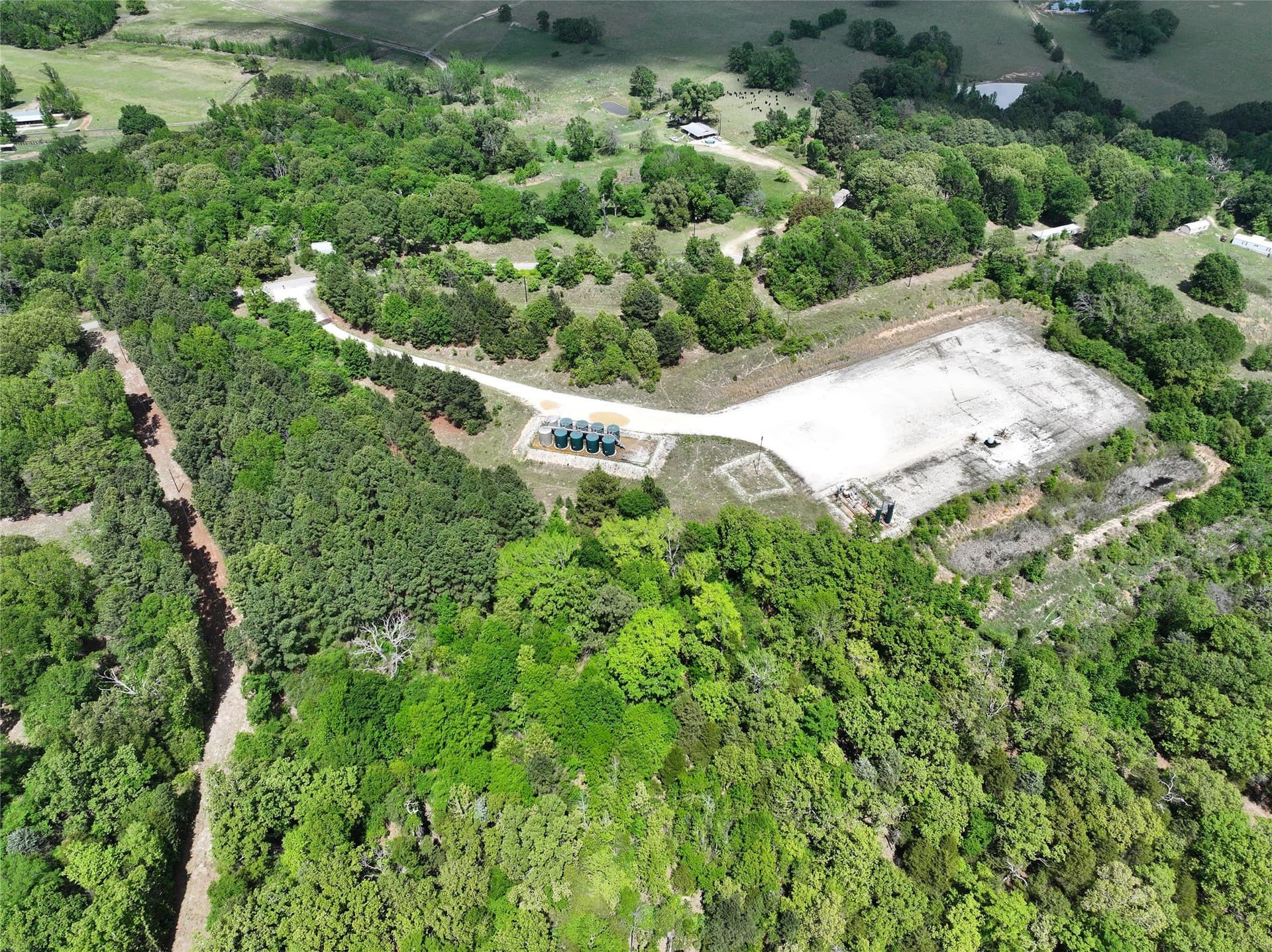 29.66 acres in Henderson County - photo 17