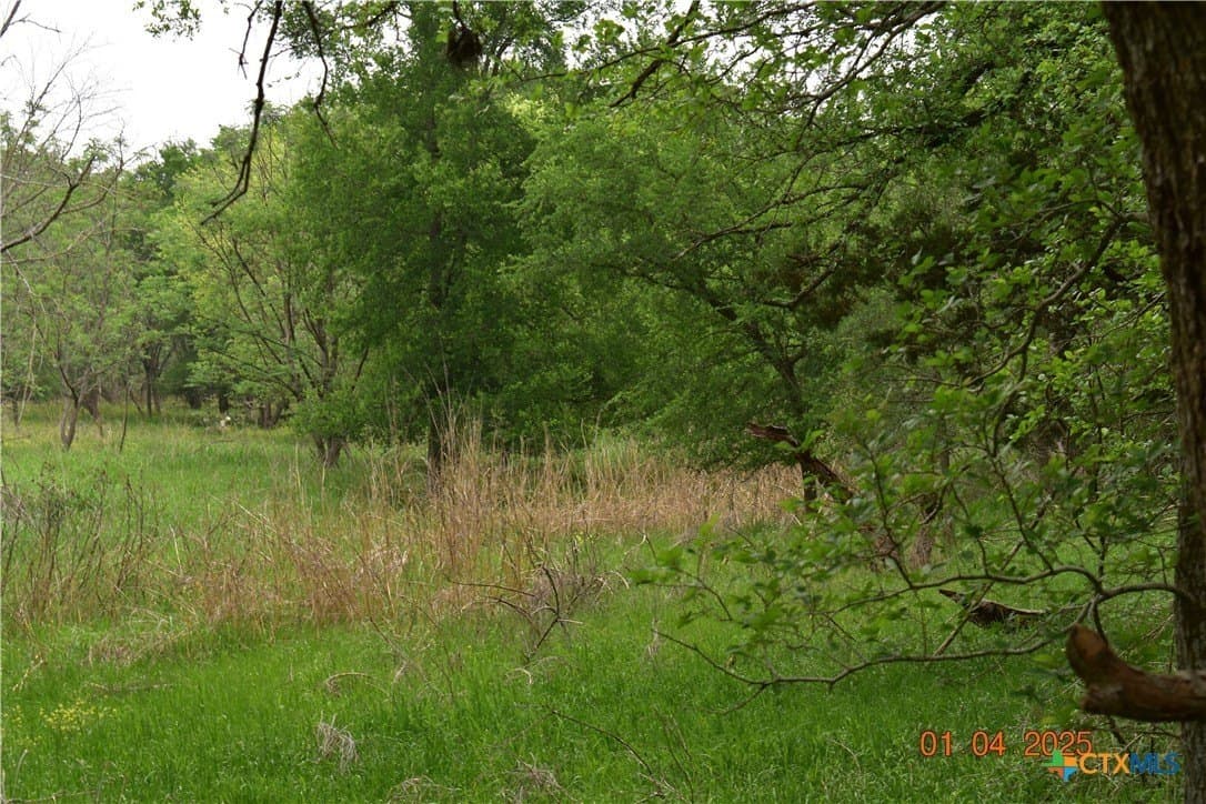 11 acres in Comal County gallery image 3
