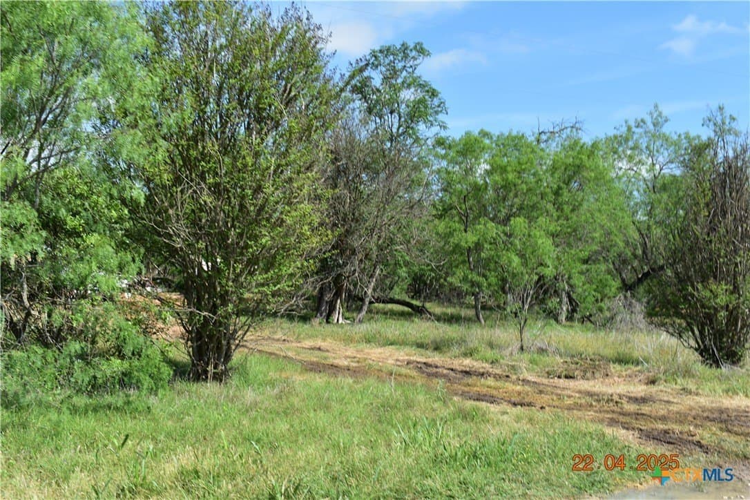 11 acres in Comal County gallery image 2